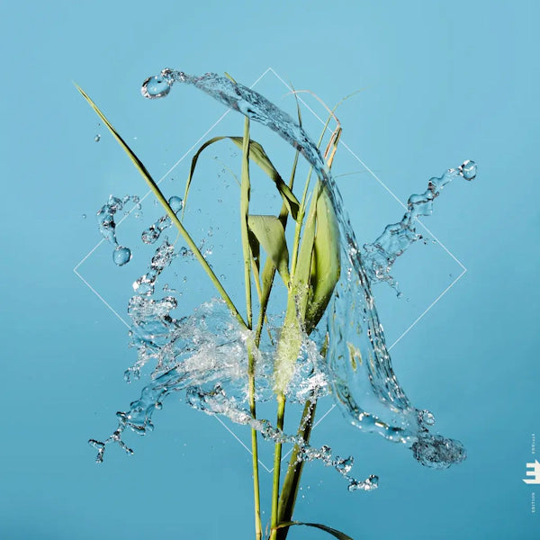 Fergus McCreadie - Stream [Clear Vinyl]