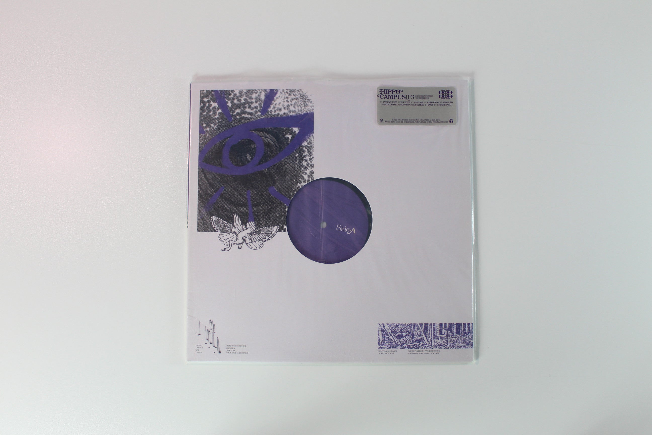 Hippo Campus - LP3 Ltd. Tour Exclusive on Grand Jury Smoke Swirl Vinyl