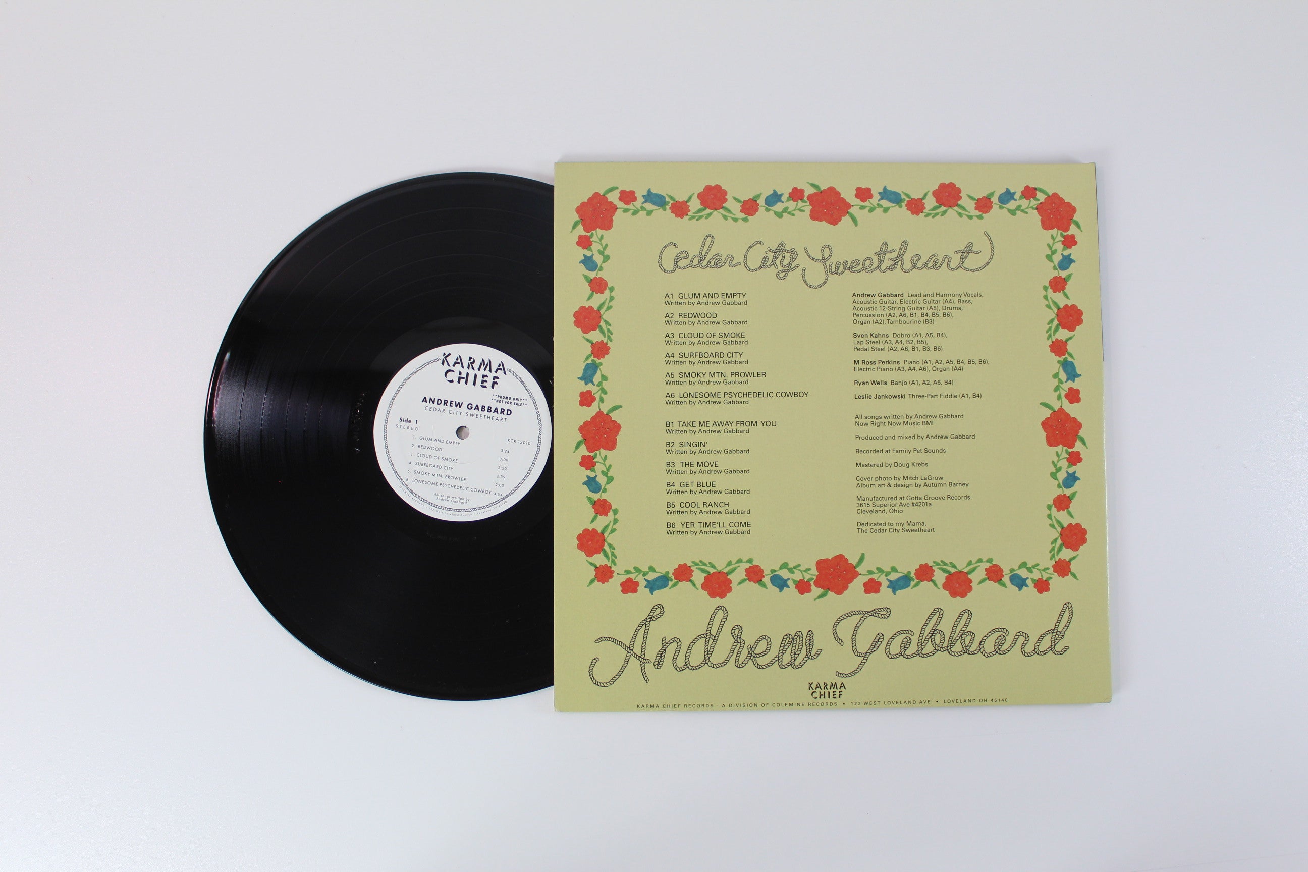 Andrew Gabbard - Cedar City Sweetheart on Karma Chief Records - Promo
