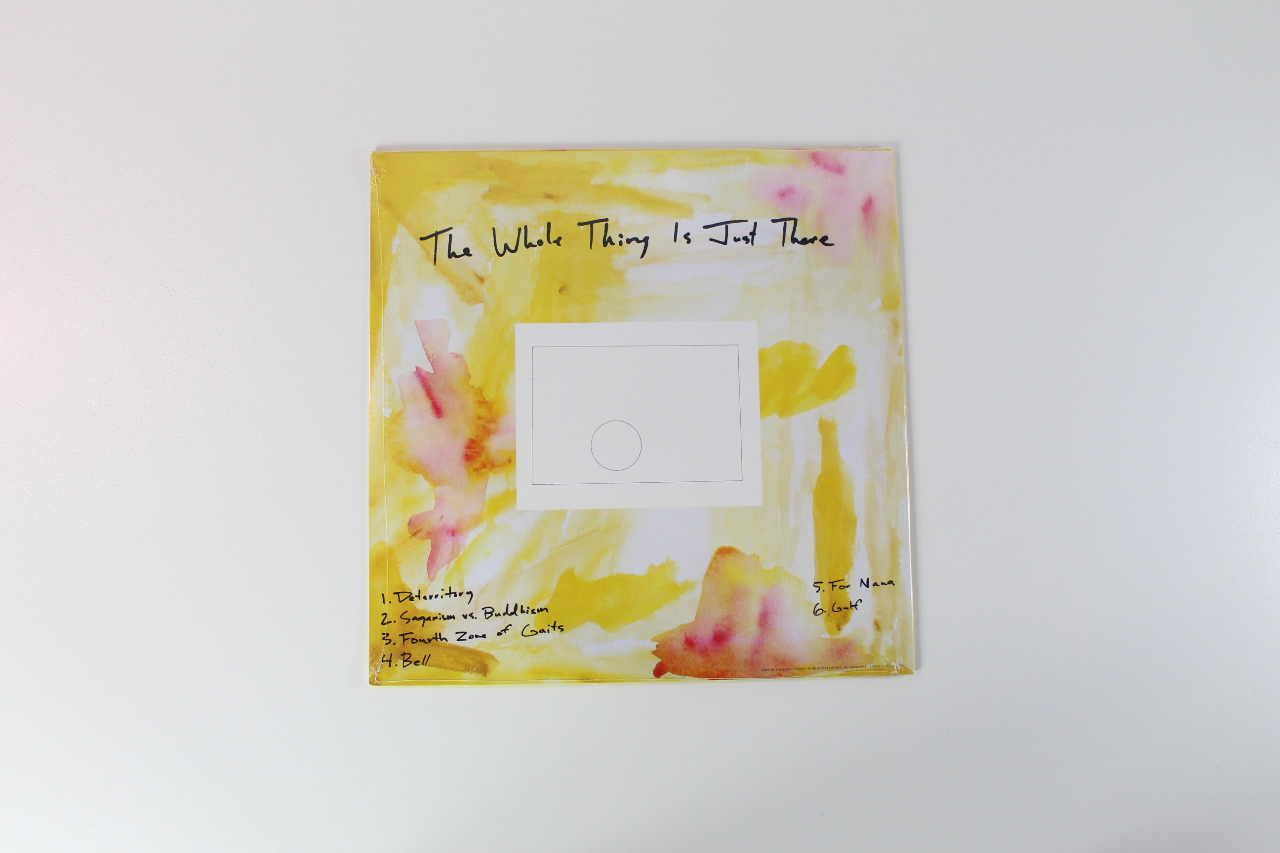 Young Jesus - The Whole Thing is Just There on Saddle Creek Colored Vinyl Sealed