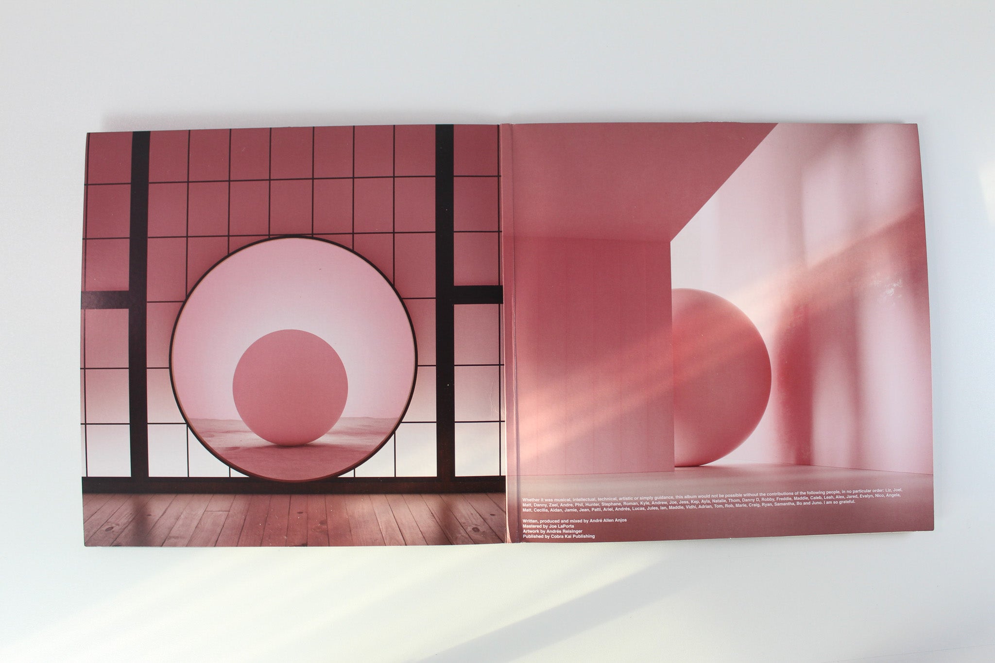 Remix Artist Collective - Boy on Counter Records - Pink/White Splatter Vinyl