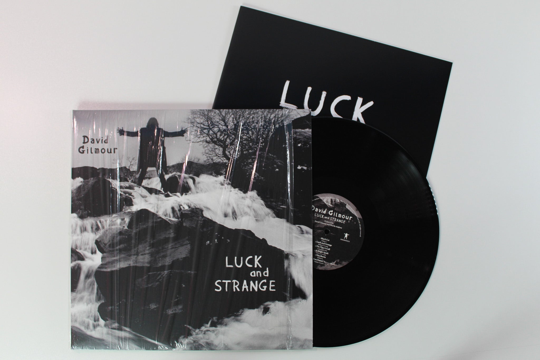David Gilmour - Luck And Strange on Sony Music