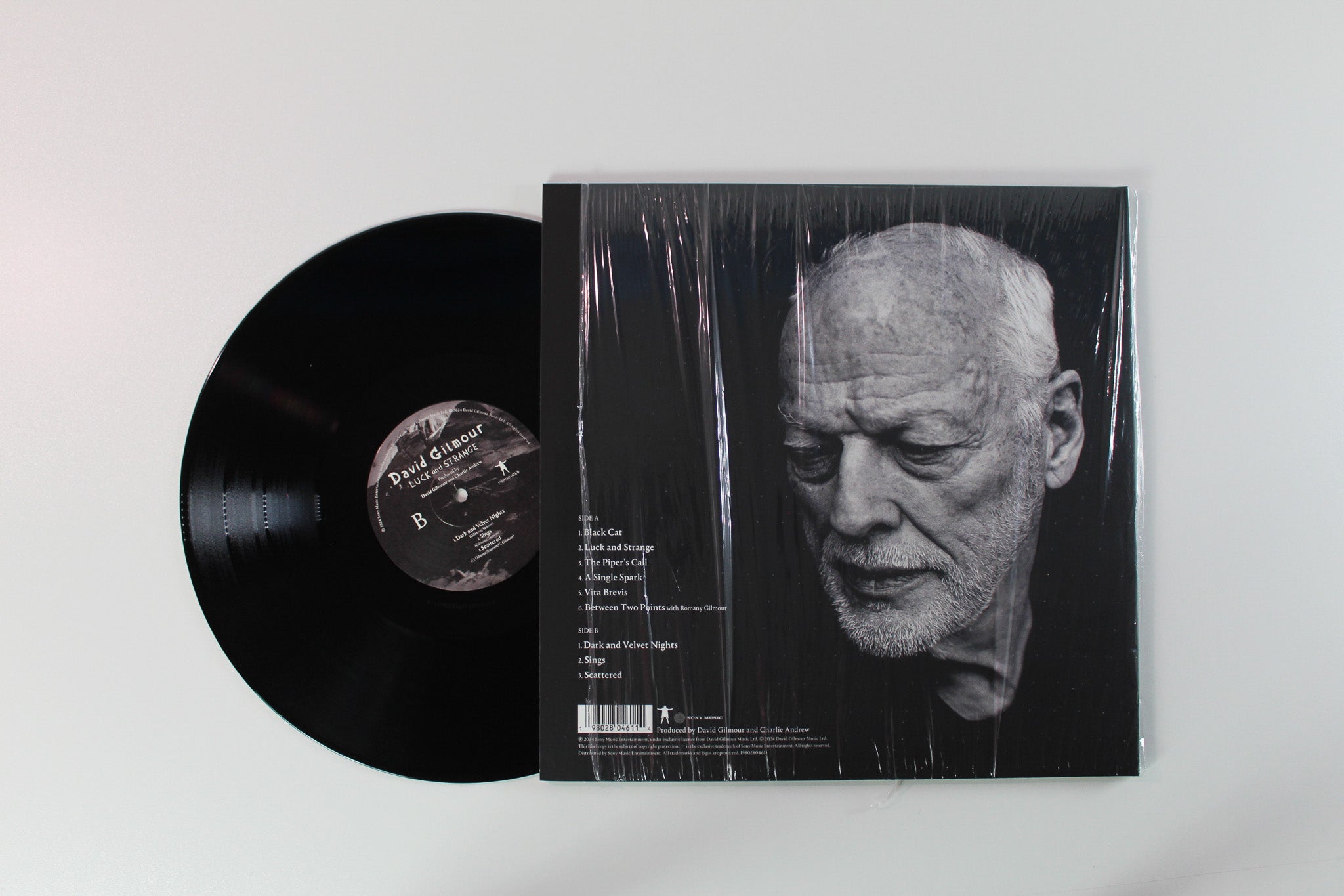 David Gilmour - Luck And Strange on Sony Music