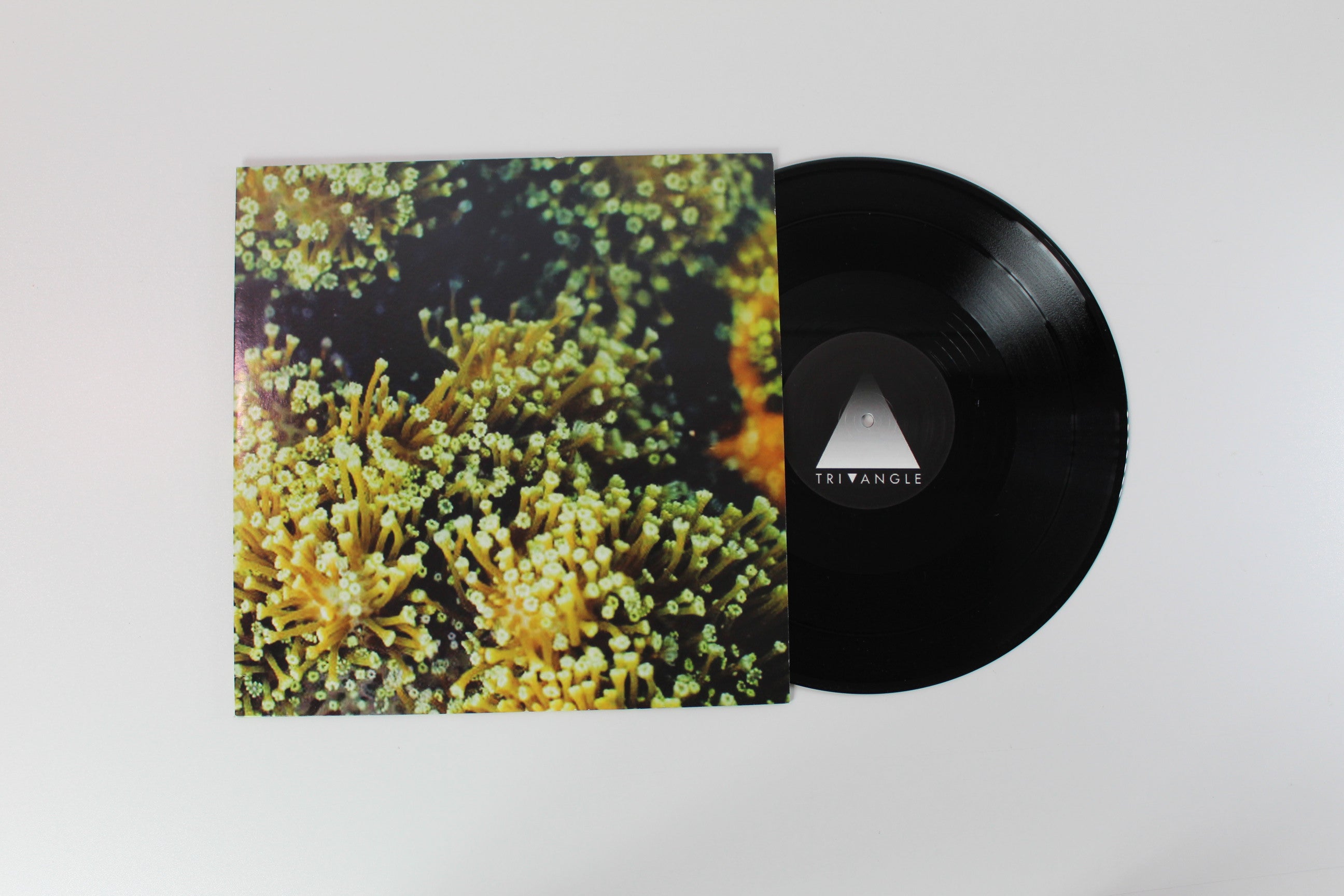 Balam Acab - See Birds on Tri Angle - 12" EP