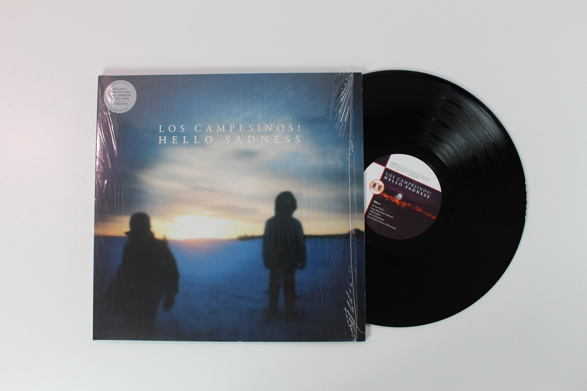 Los Campesinos! - Hello Sadness on Arts & Crafts