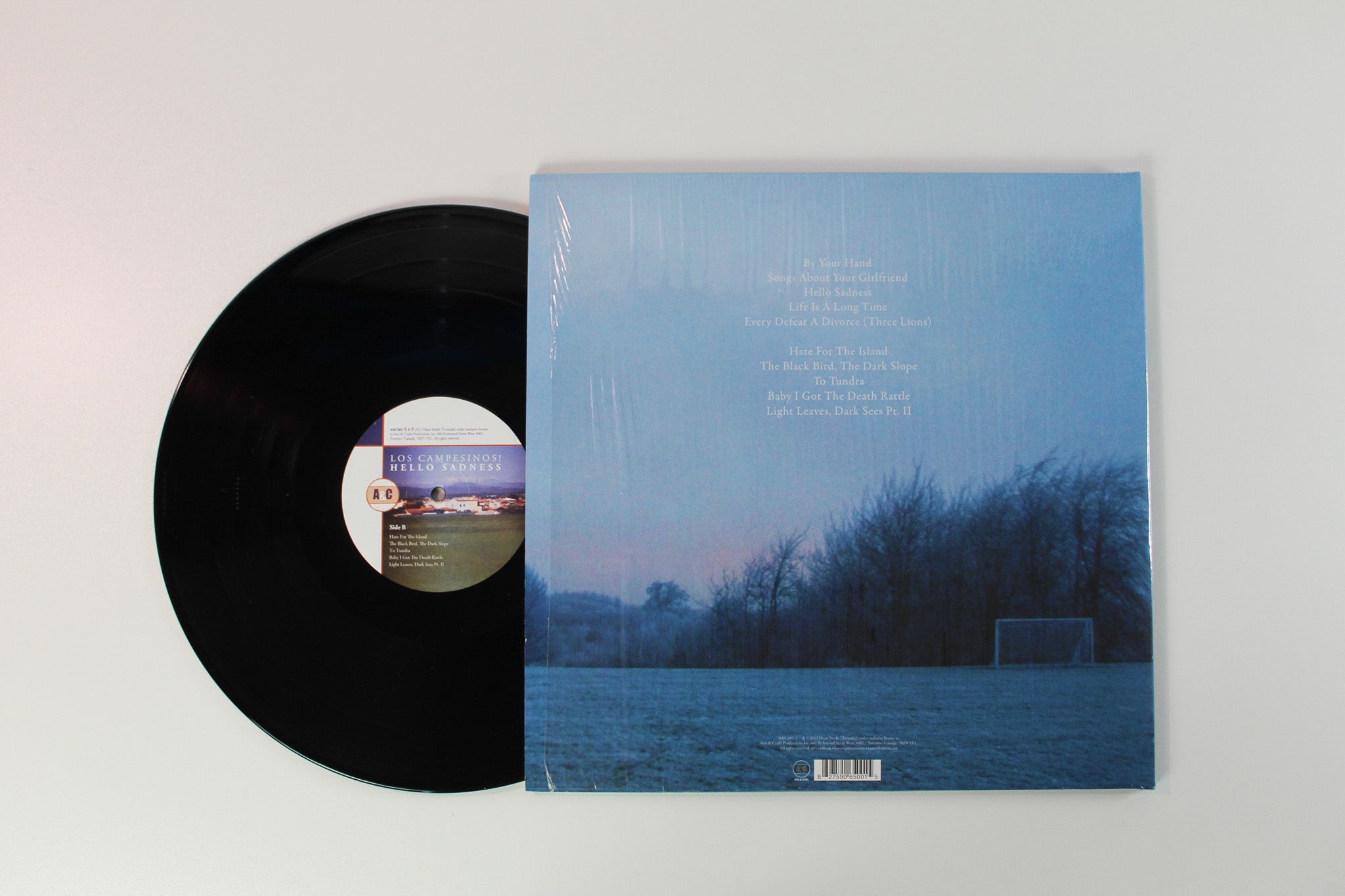 Los Campesinos! - Hello Sadness on Arts & Crafts