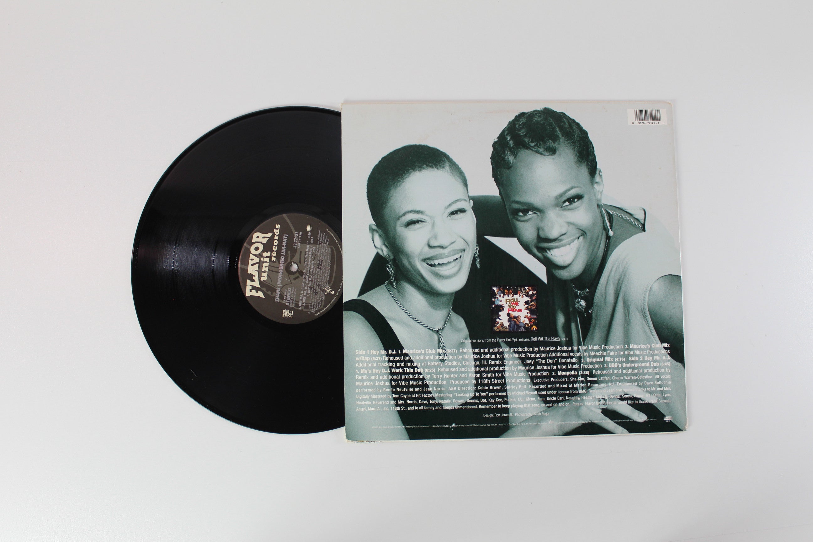 Zhané - Hey Mr. D.J. on Flavor Unit Records - 12" Single