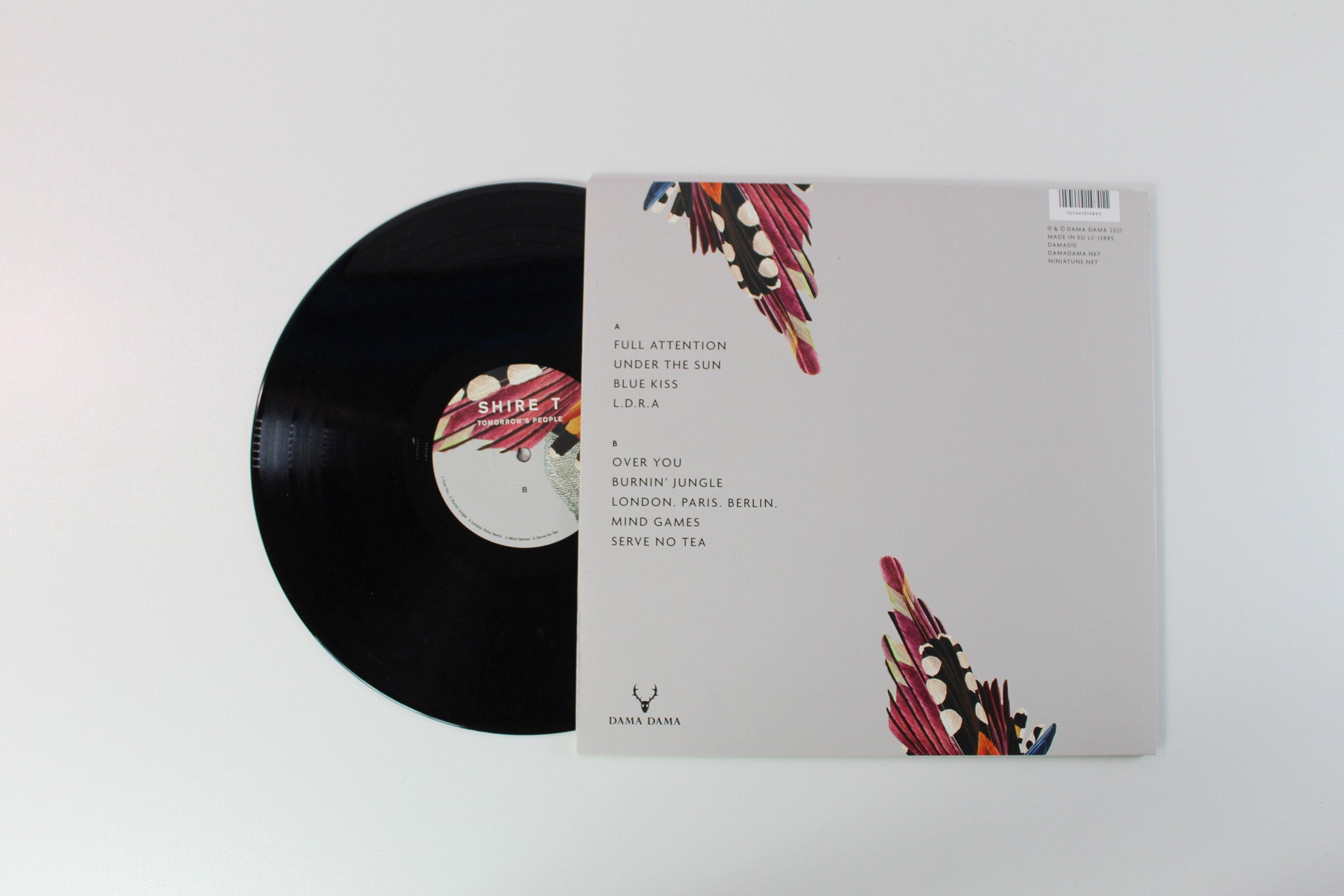 Shire Tea - Tomorrow's People on Dama Dama