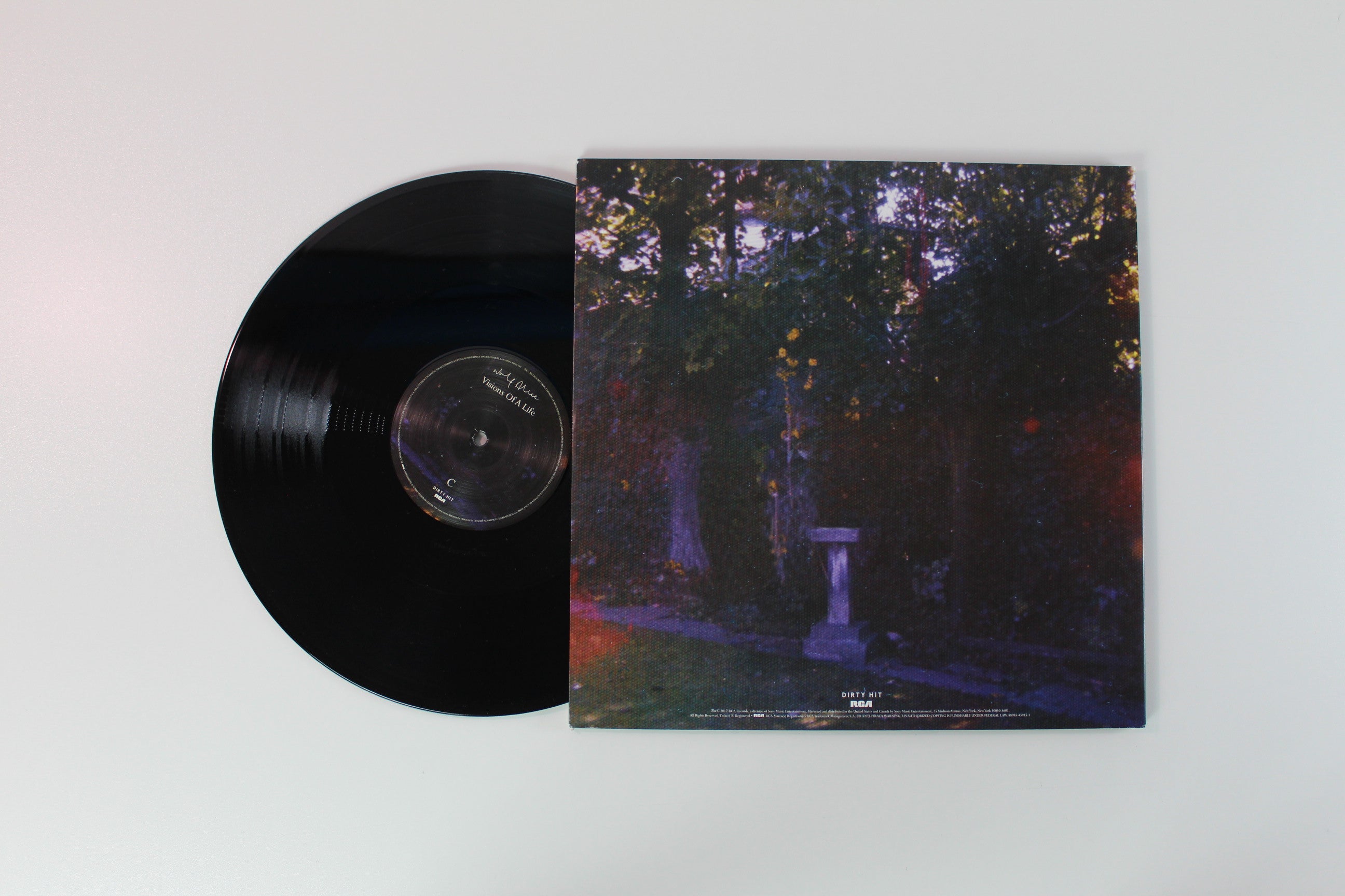 Wolf Alice - Visions Of A Life on Dirty Hit/RCA