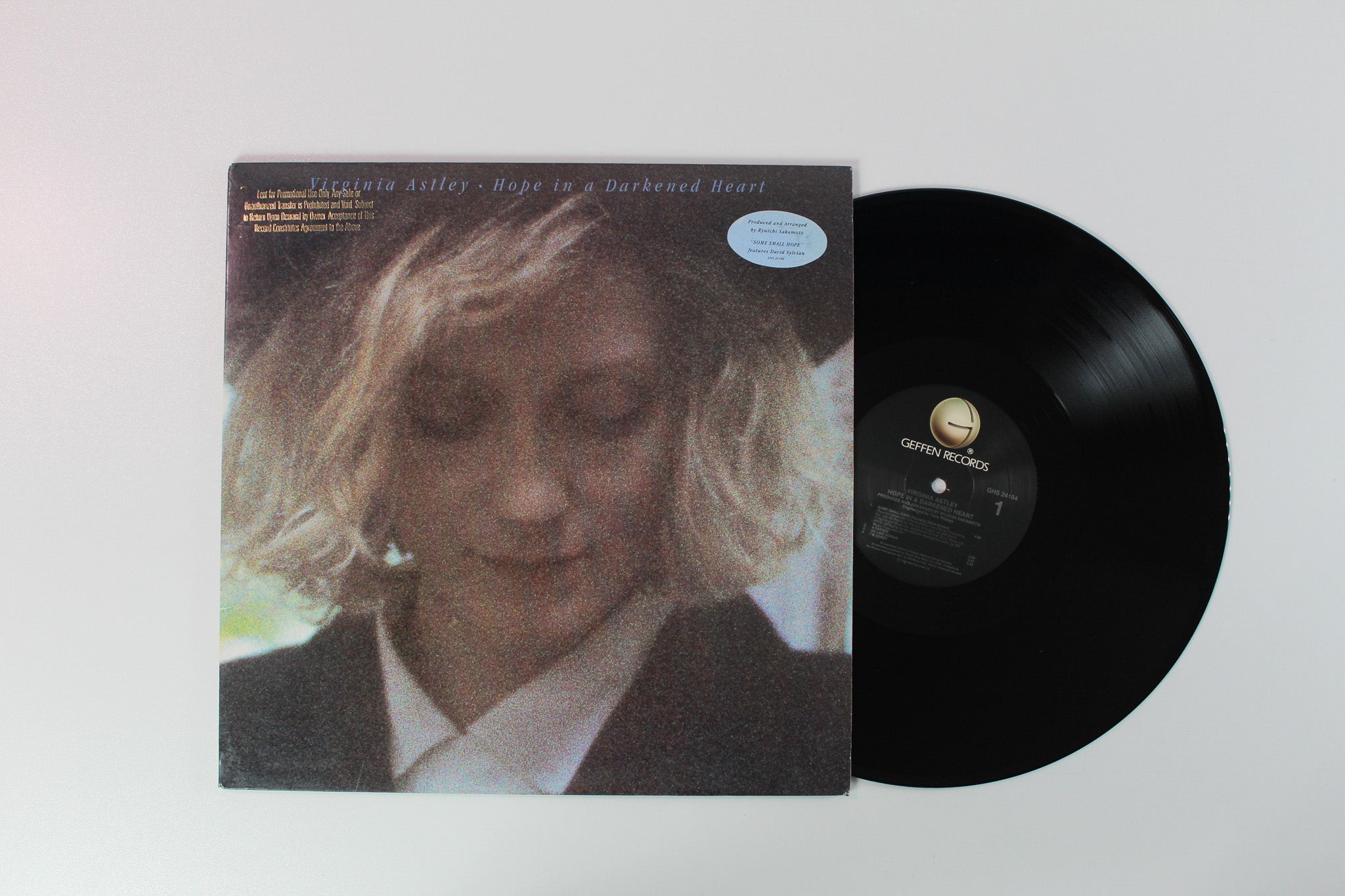 Virginia Astley - Hope In A Darkened Heart on Geffen Records