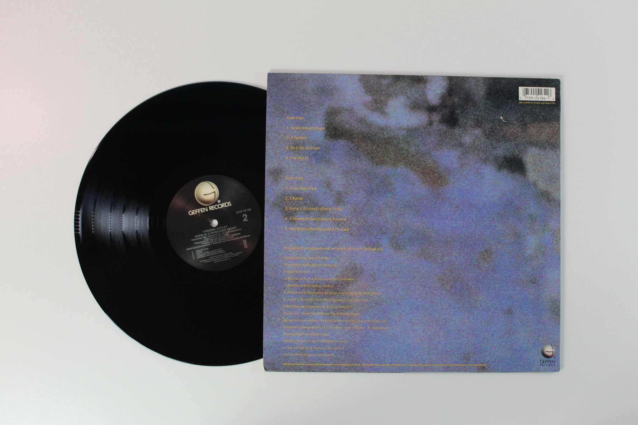 Virginia Astley - Hope In A Darkened Heart on Geffen Records