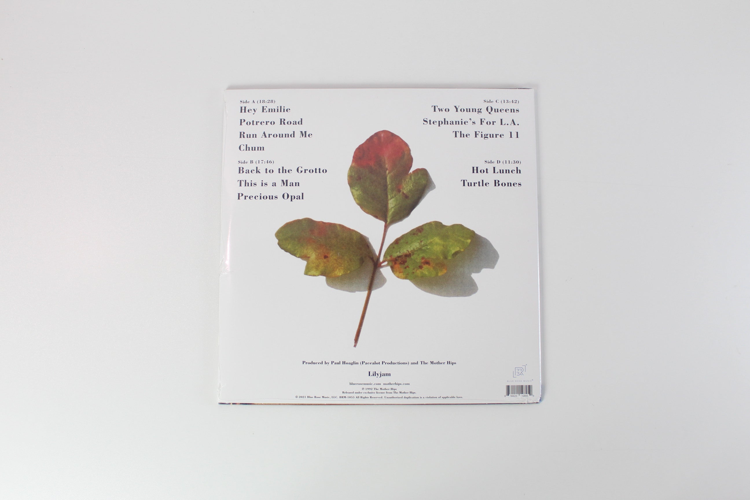 The Mother Hips - Back To The Grotto on Blue Rose Music Ltd 180 Gram Reissue