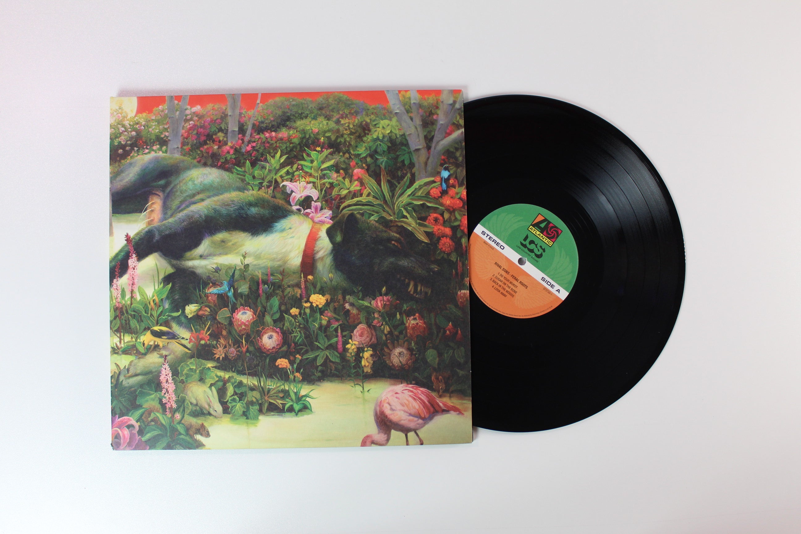 Rival Sons - Feral Roots on Atlantic