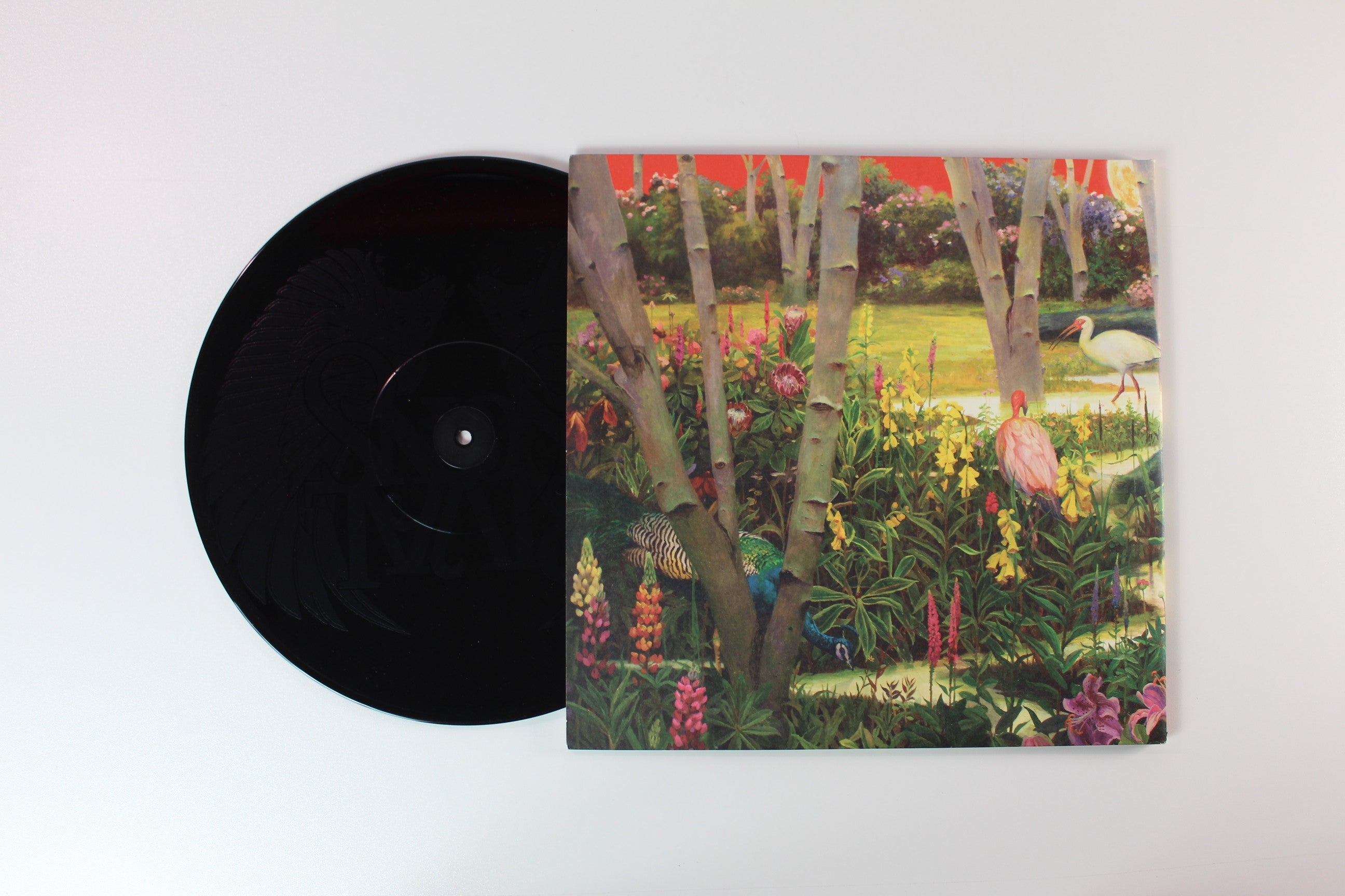 Rival Sons - Feral Roots on Atlantic