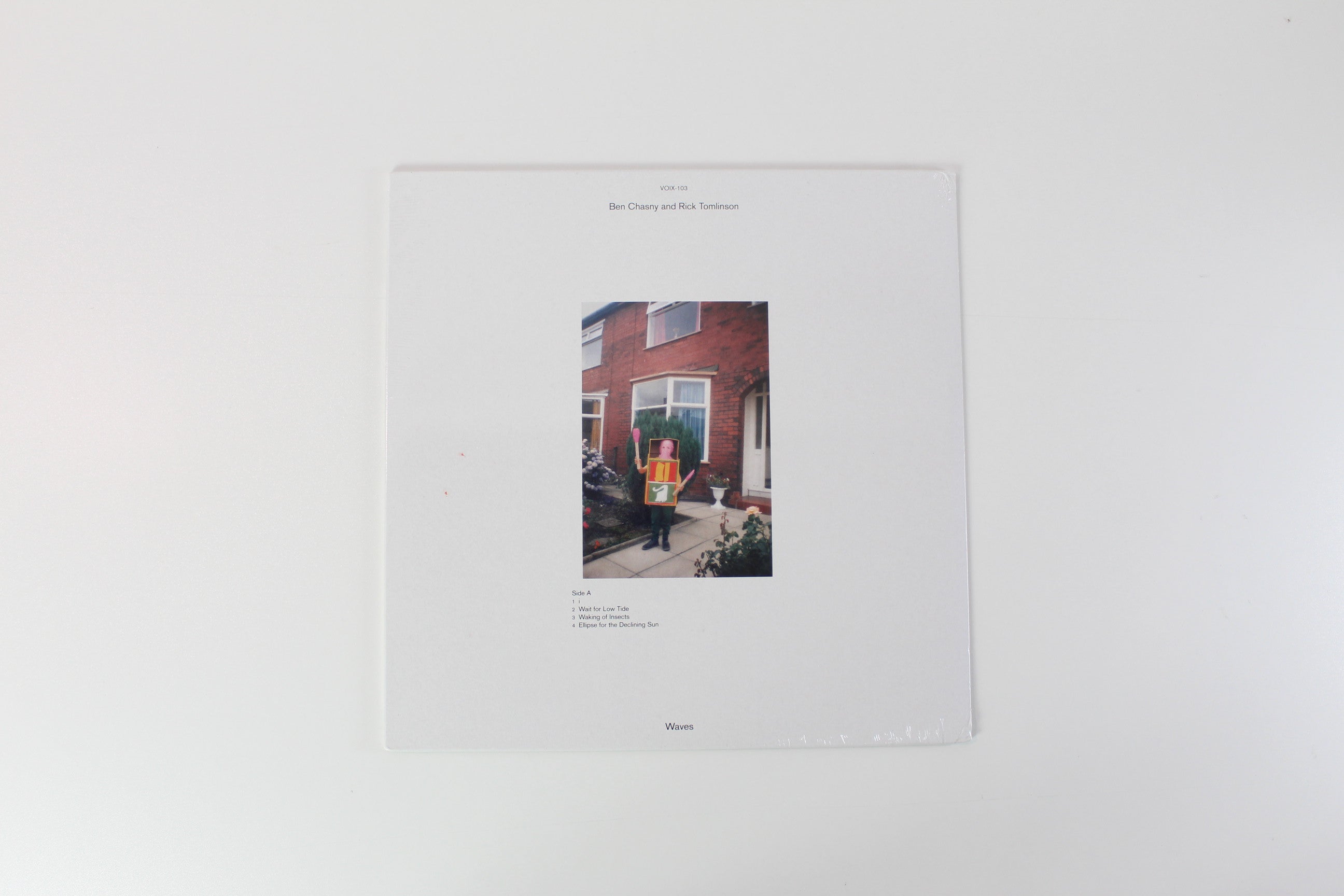 Ben Chasny, Rick Tomlinson - Waves on Voix Records - Limited Edition - Sealed
