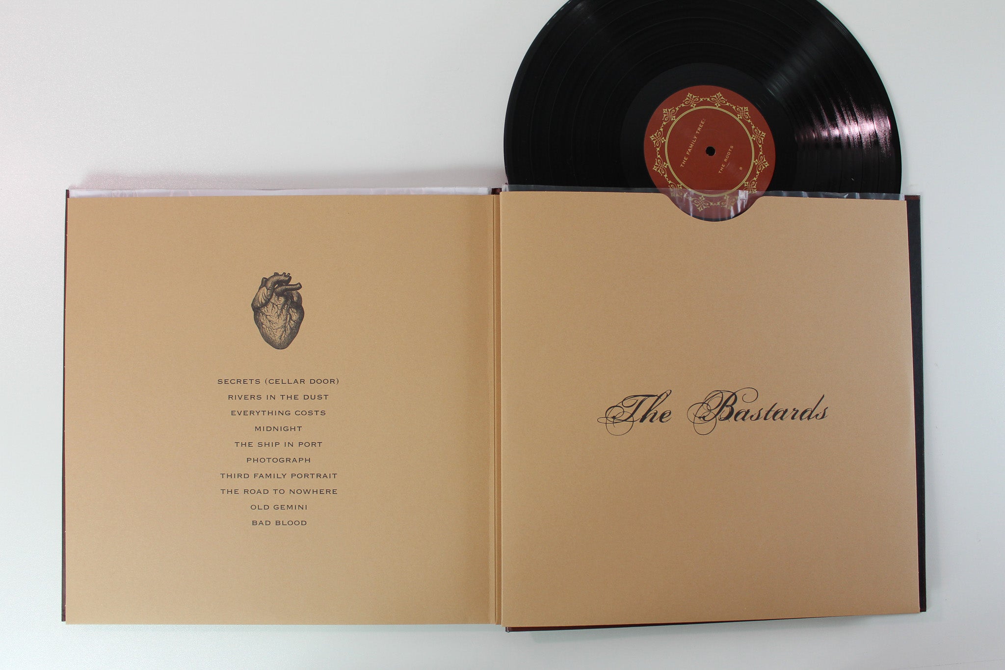 Radical Face - The Family Tree on Nettwerk RSD 2016 Ltd Box Set