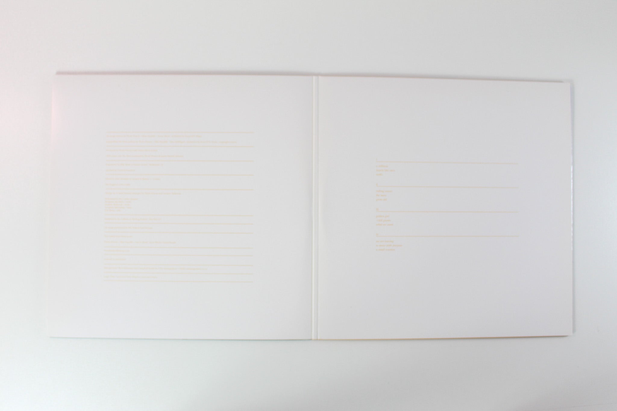 The Naked And Famous - In Rolling Waves on Fiction Records