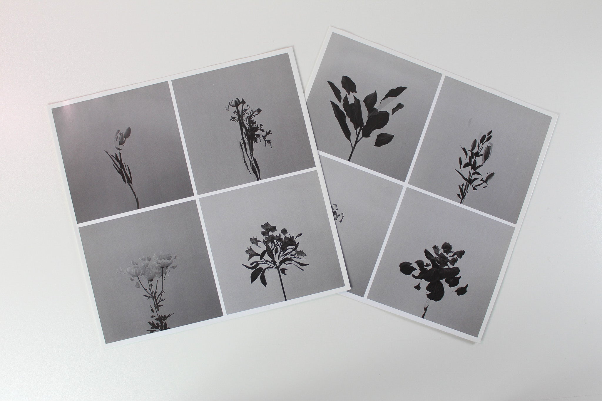 The Naked And Famous - In Rolling Waves on Fiction Records