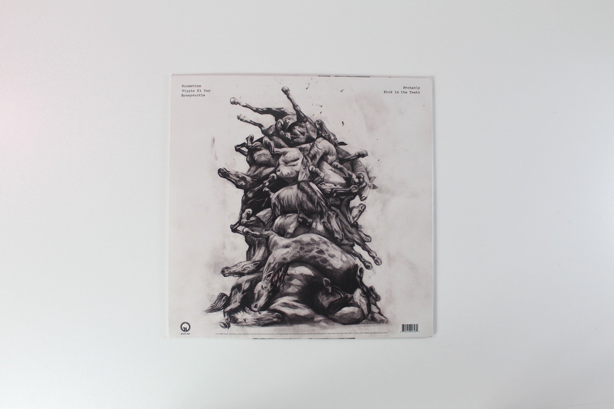 Hippo Campus - Wasteland on Grand Jury Ltd Smoke Vinyl Sealed