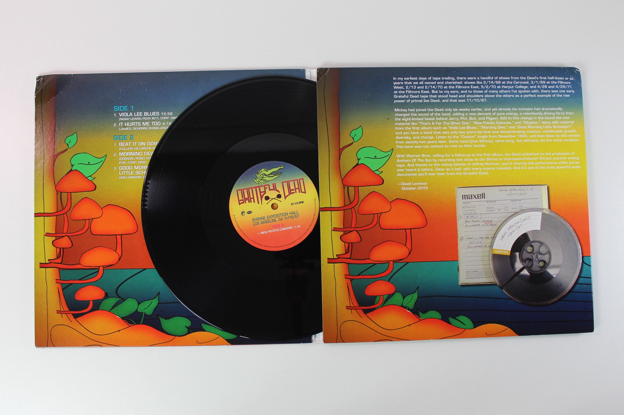 The Grateful Dead - Shrine Exposition Hall, Los Angeles, CA 11/10/1967 on Rhino Ltd 180 Gram