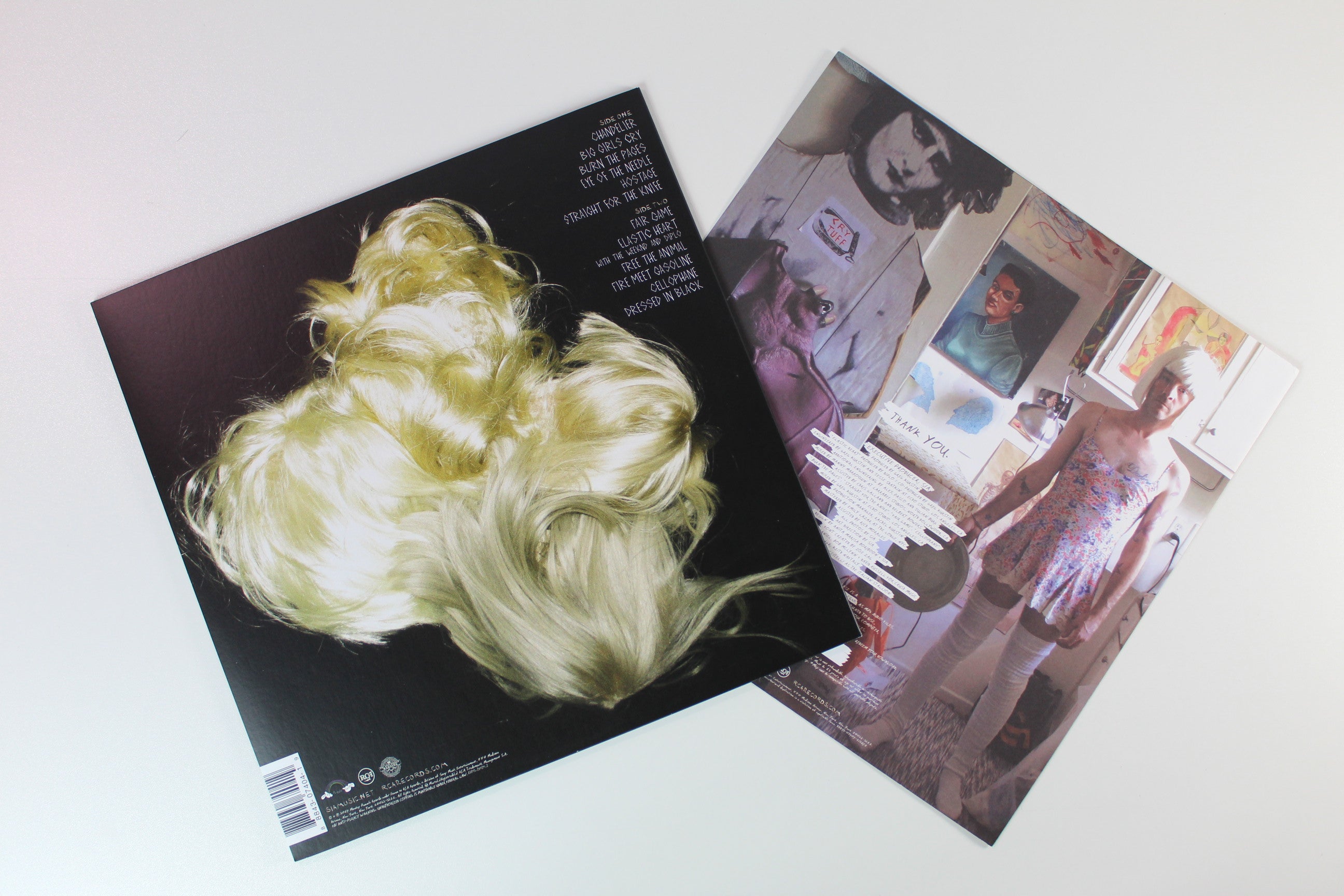 Sia - 1000 Forms Of Fear on Monkey Puzzle Records / RCA