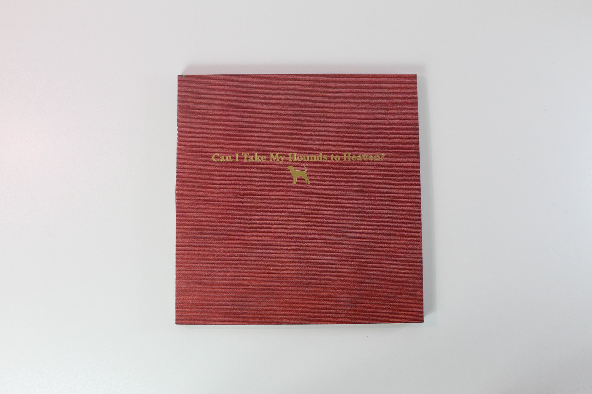 Tyler Childers - Can I Take My Hounds To Heaven? on Hickman Holler