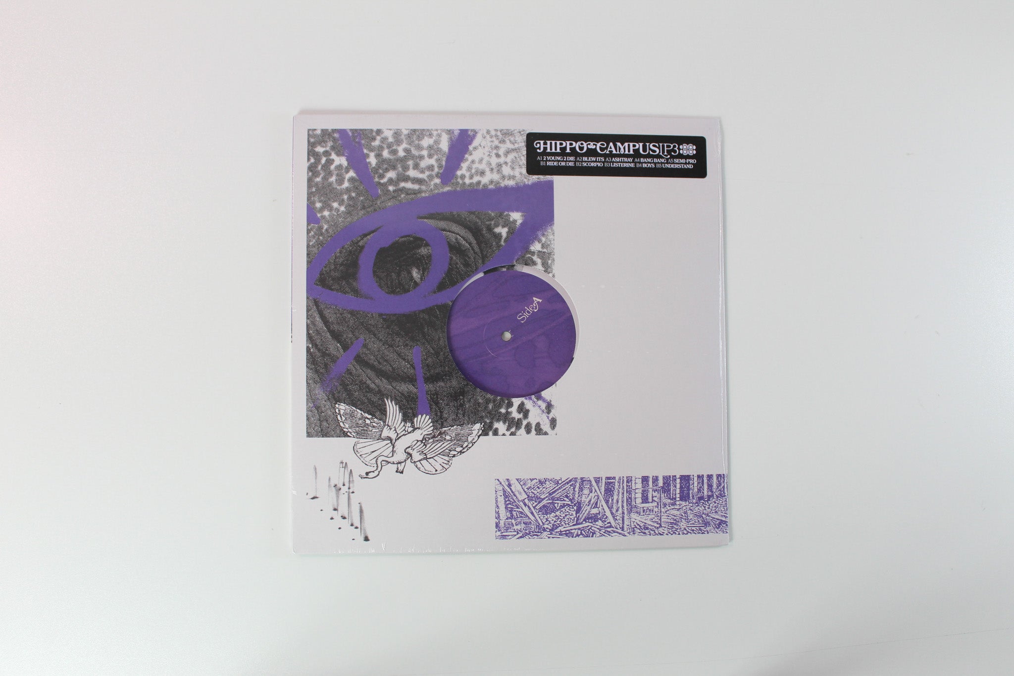 Hippo Campus - LP3 on Grand Jury Sealed