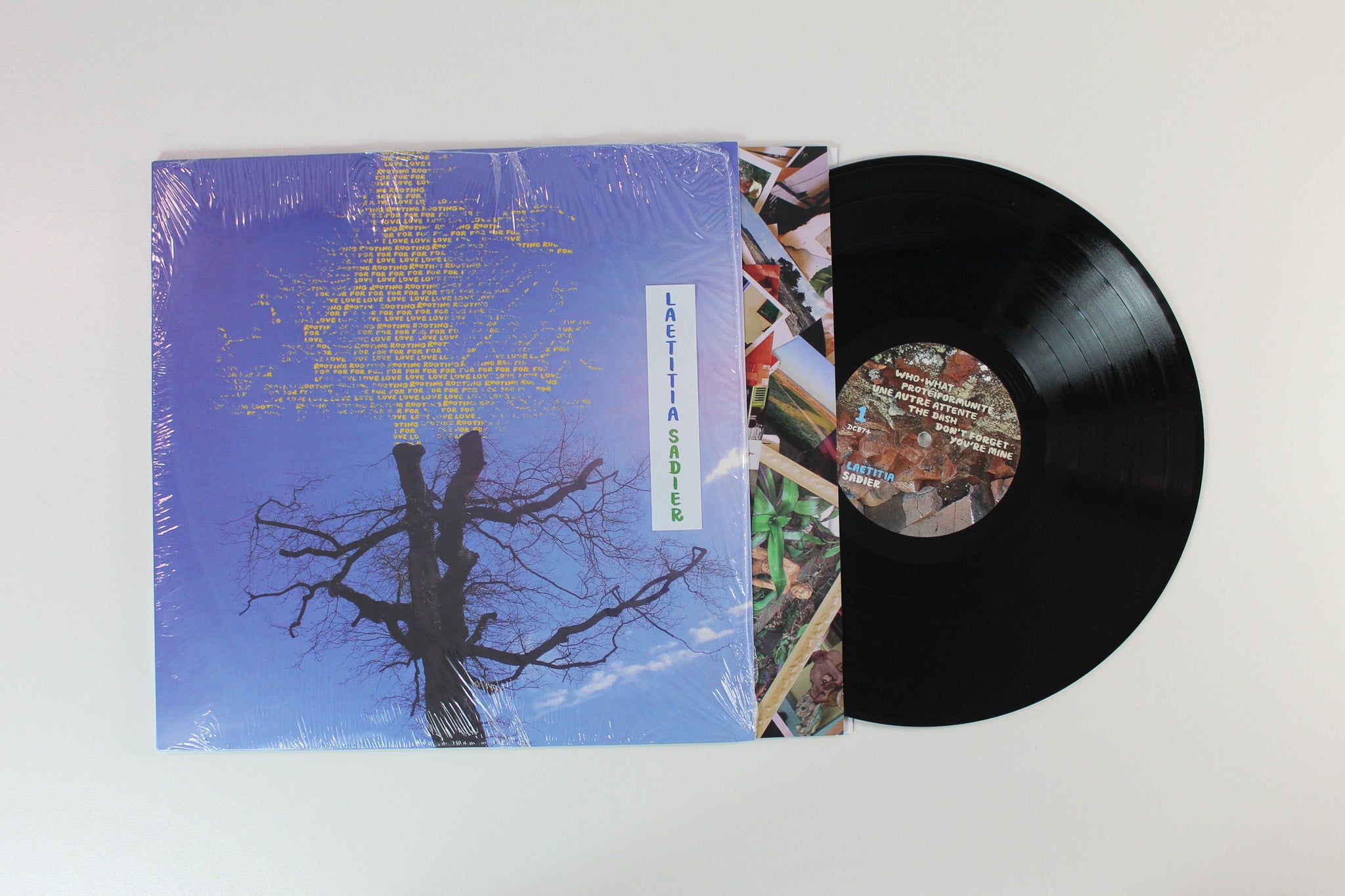 Laetitia Sadier - Rooting For Love on Drag City