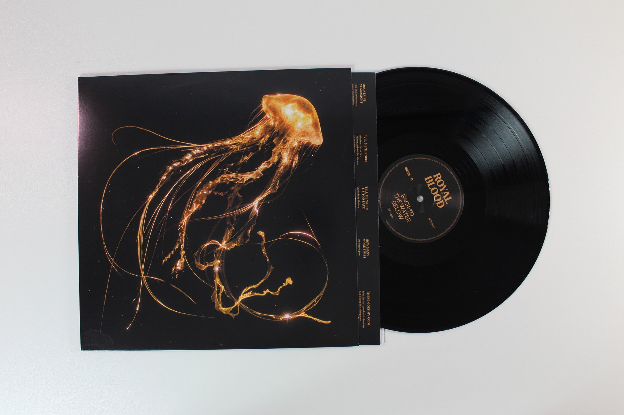Royal Blood - Back To The Water Below on Black Mammoth