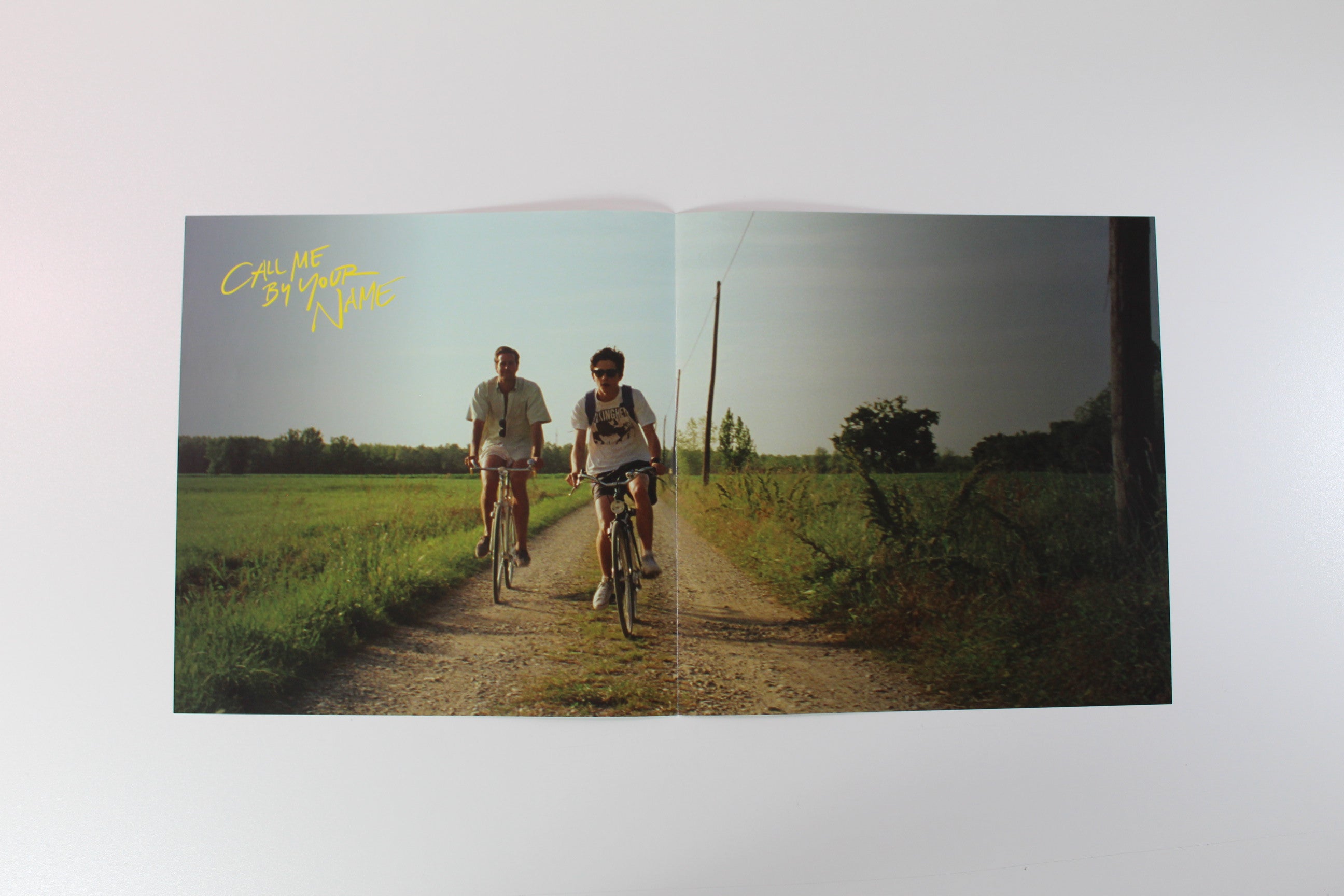 Various - Call Me By Your Name (Original Motion Picture Soundtrack) on Music On Vinyl Ltd Purple Velvet Marbled Reissue