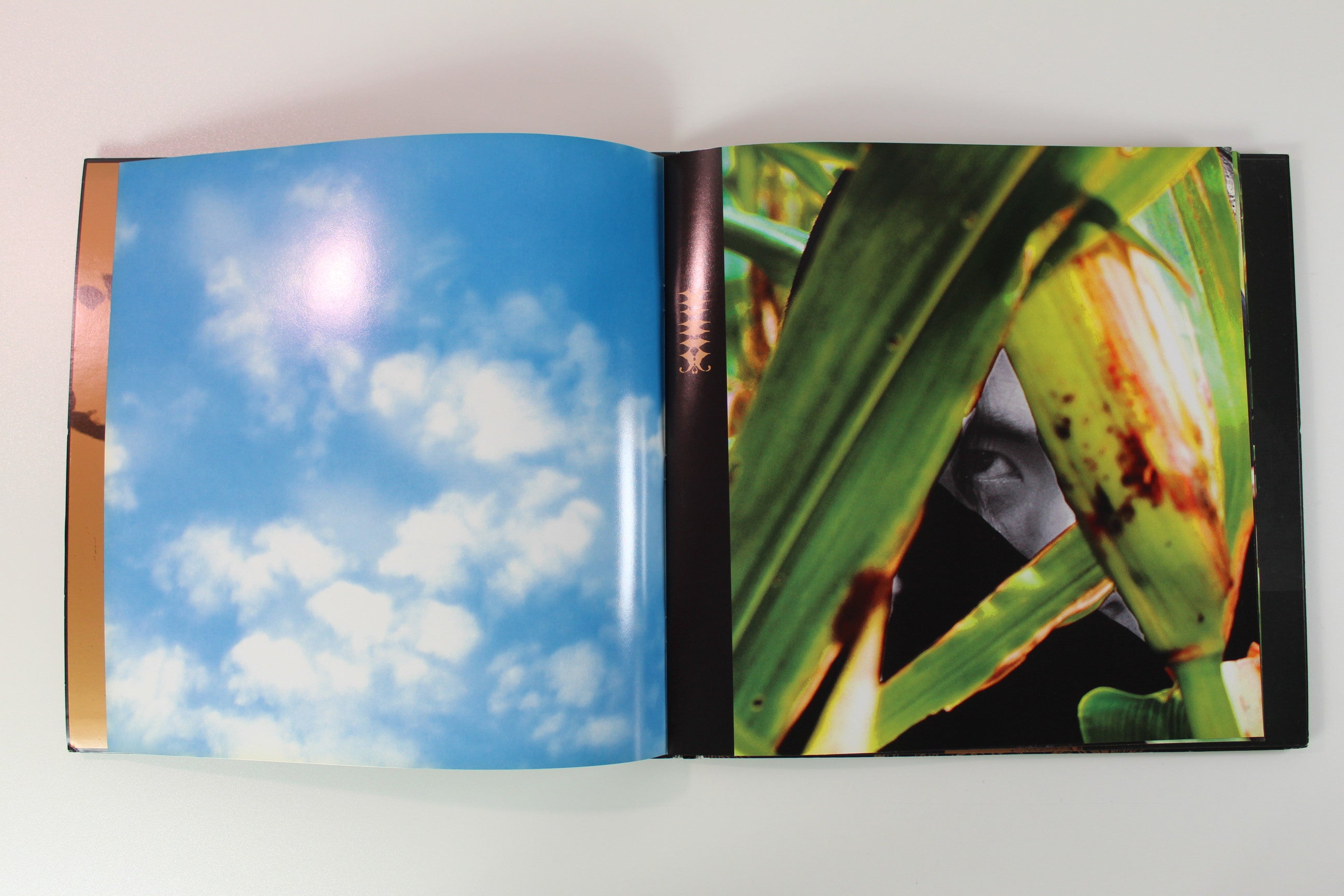 Sunn O))) - Altar Ltd. Clear Vinyl on Southern Lord