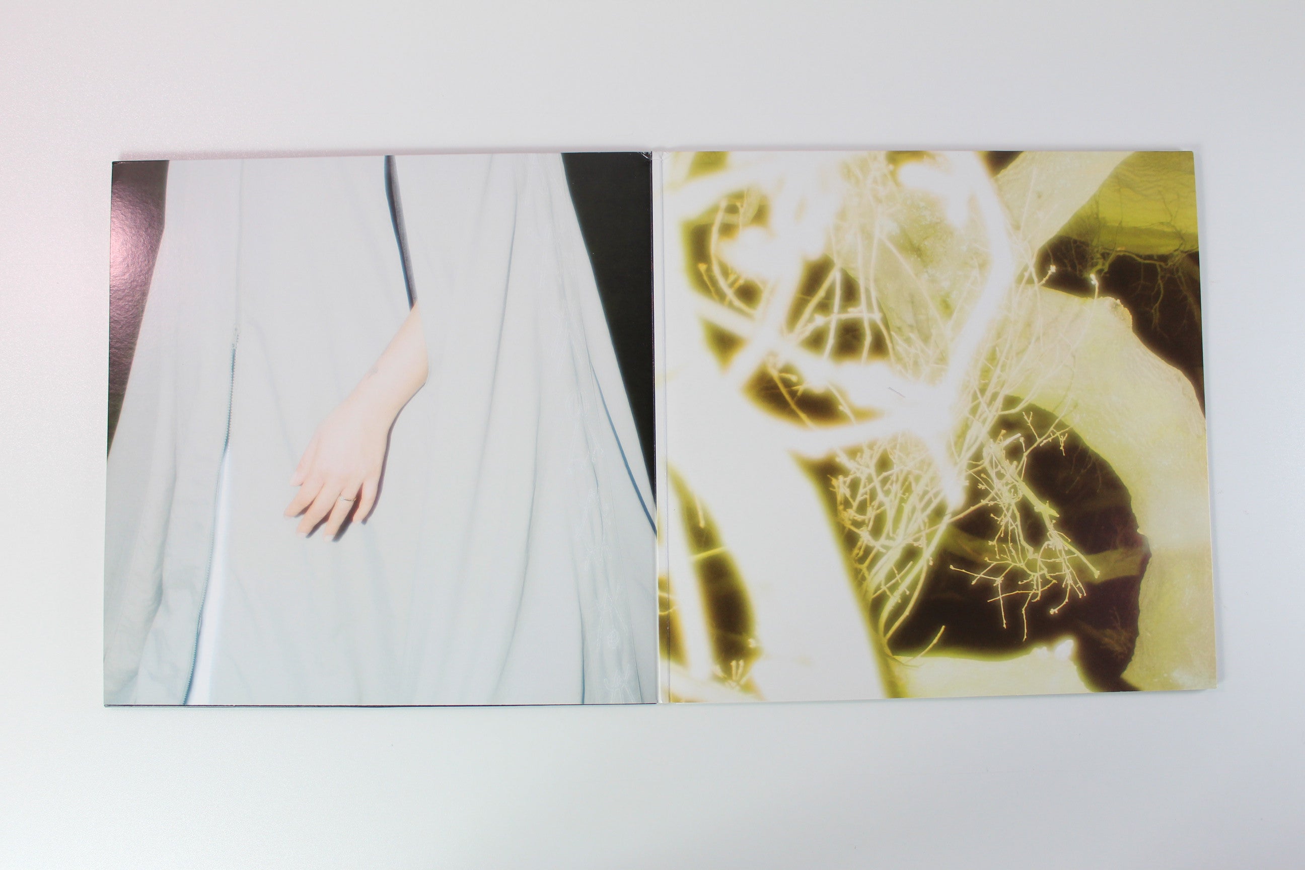 Laima Leyton - Home on Deewee