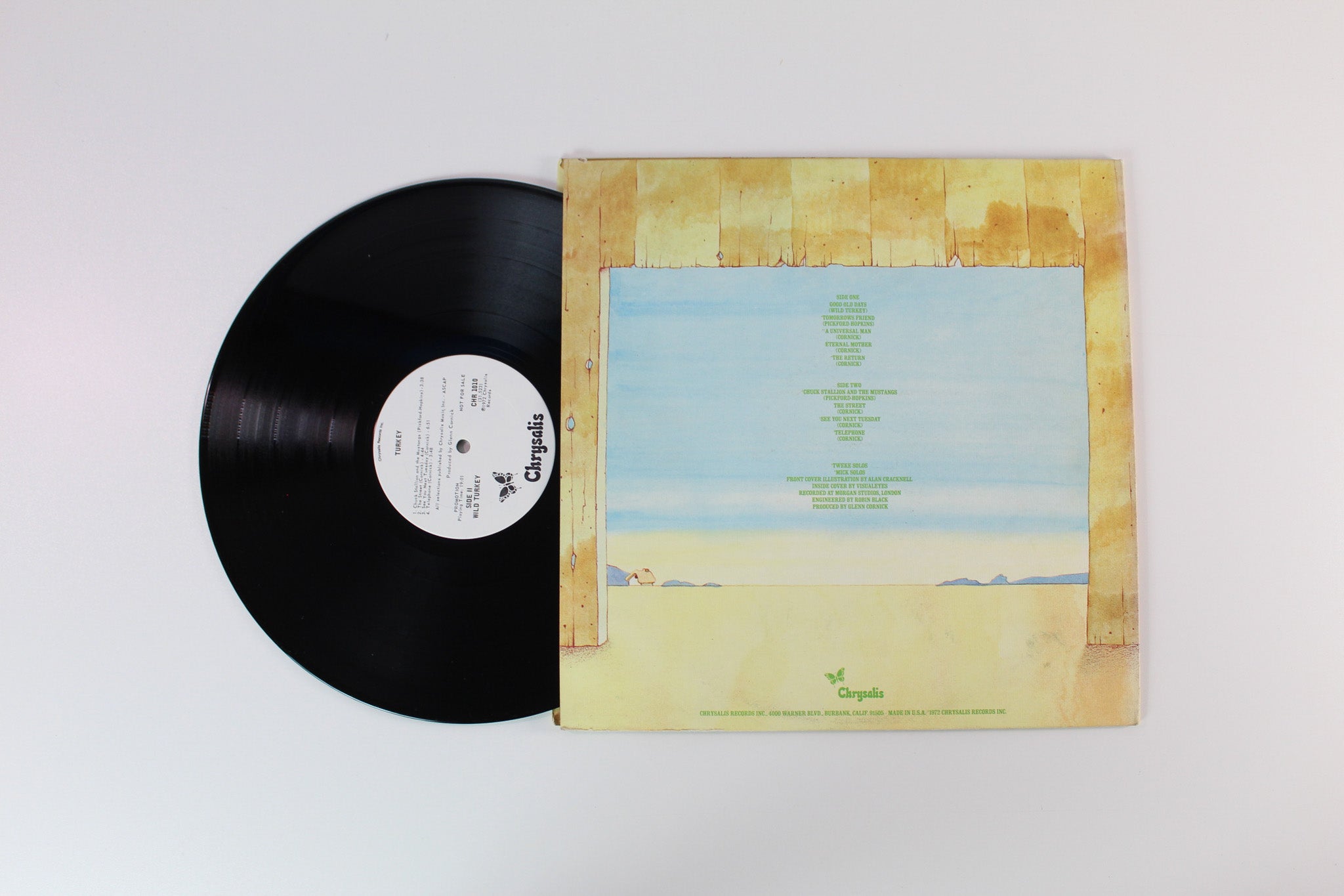 Wild Turkey - Turkey on Chrysalis Promo