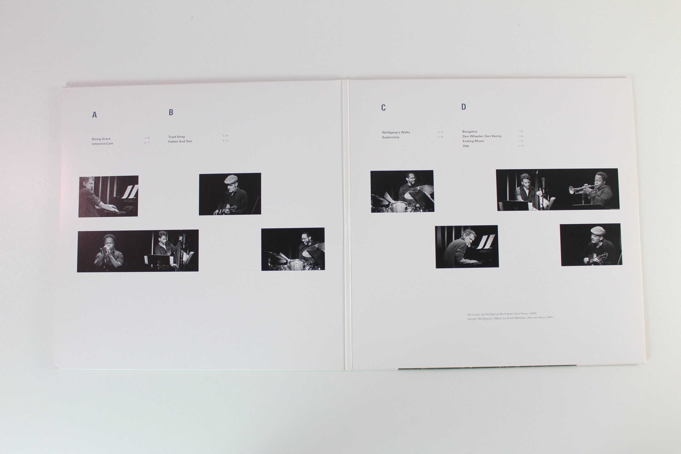 Wolfgang Muthspiel - Rising Grace on ECM Records