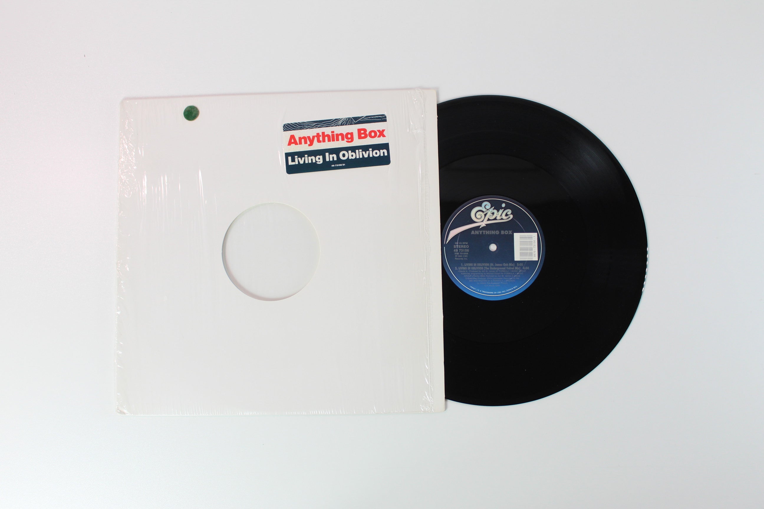 Anything Box - Living In Oblivion 12 inch on Epic