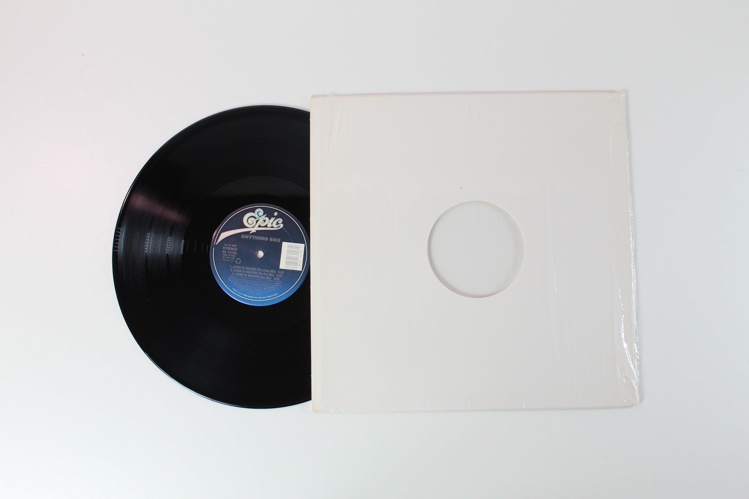 Anything Box - Living In Oblivion 12 inch on Epic
