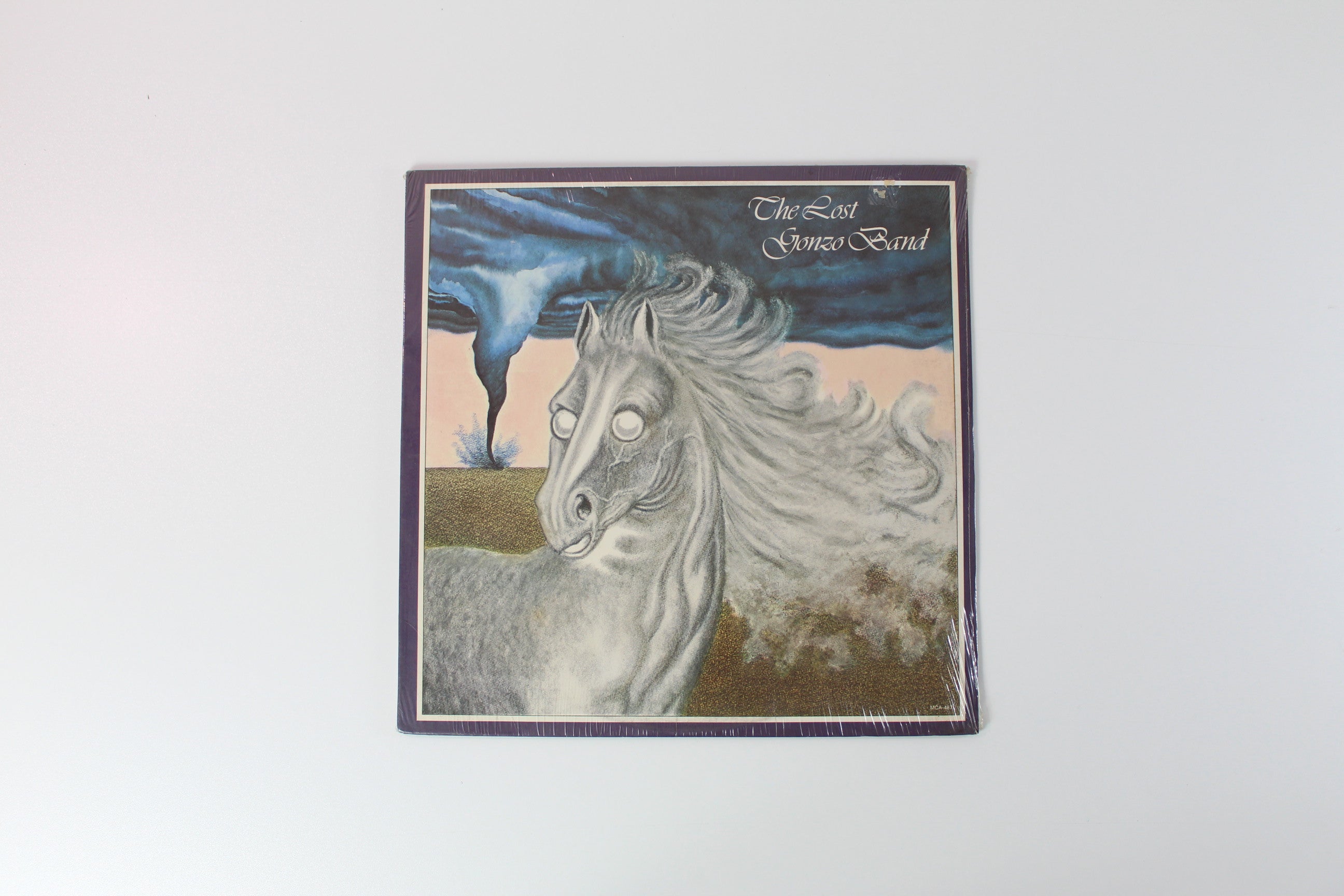 The Lost Gonzo Band - The Lost Gonzo Band on MCA Records Sealed