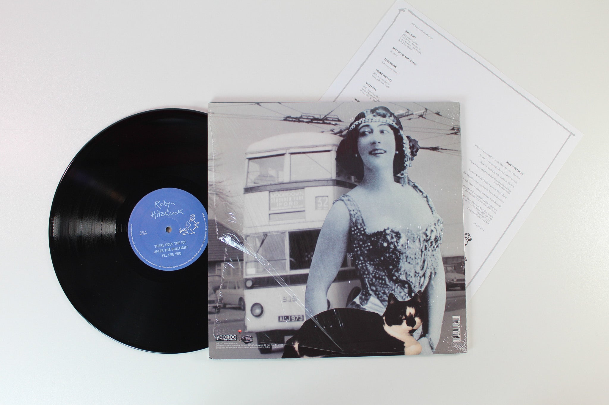 Robyn Hitchcock - There Goes The Ice on Yep Roc RSD 2013 2 X 12 45 RPM