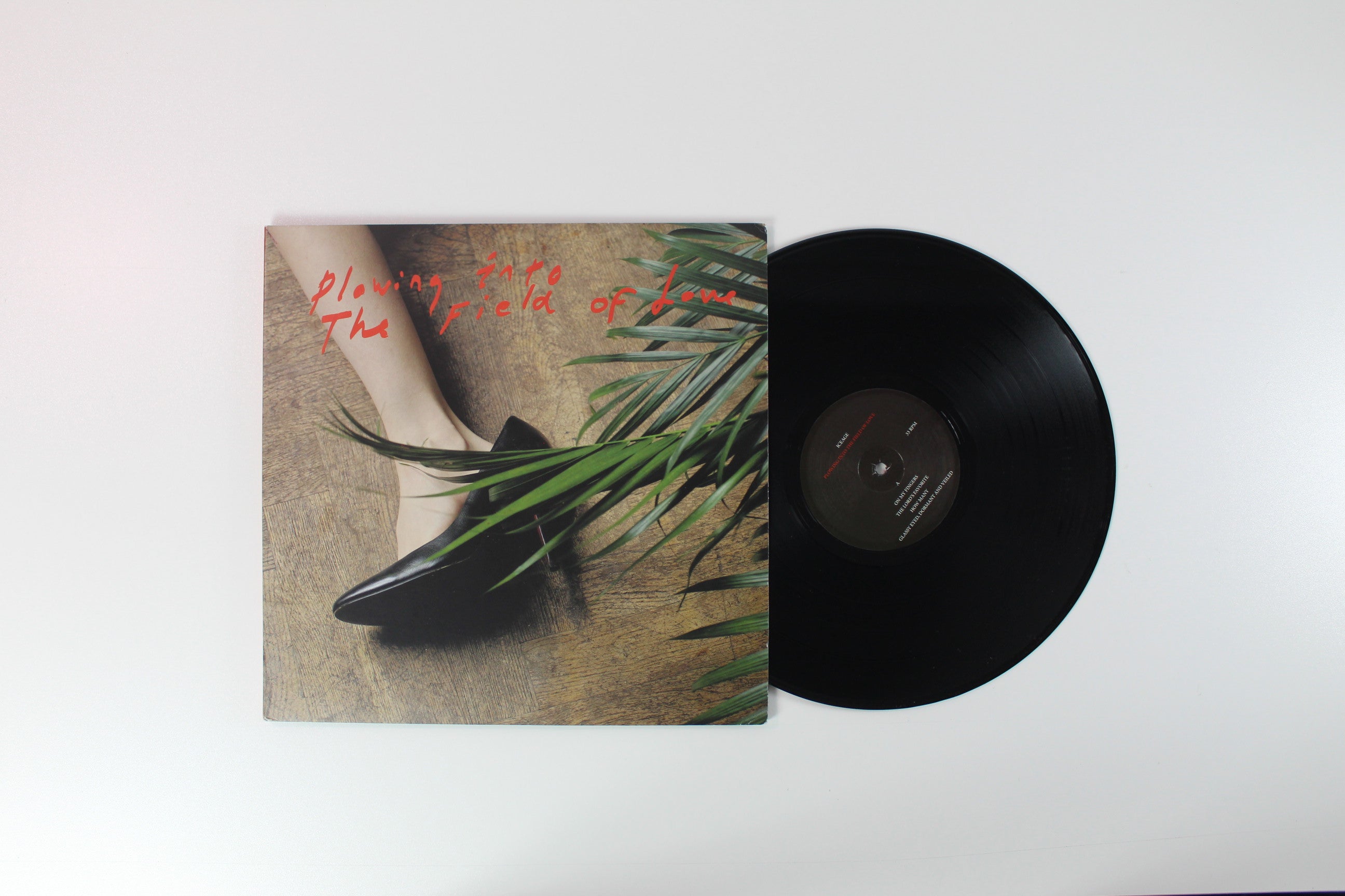 Iceage - Plowing Into The Field Of Love on Matador
