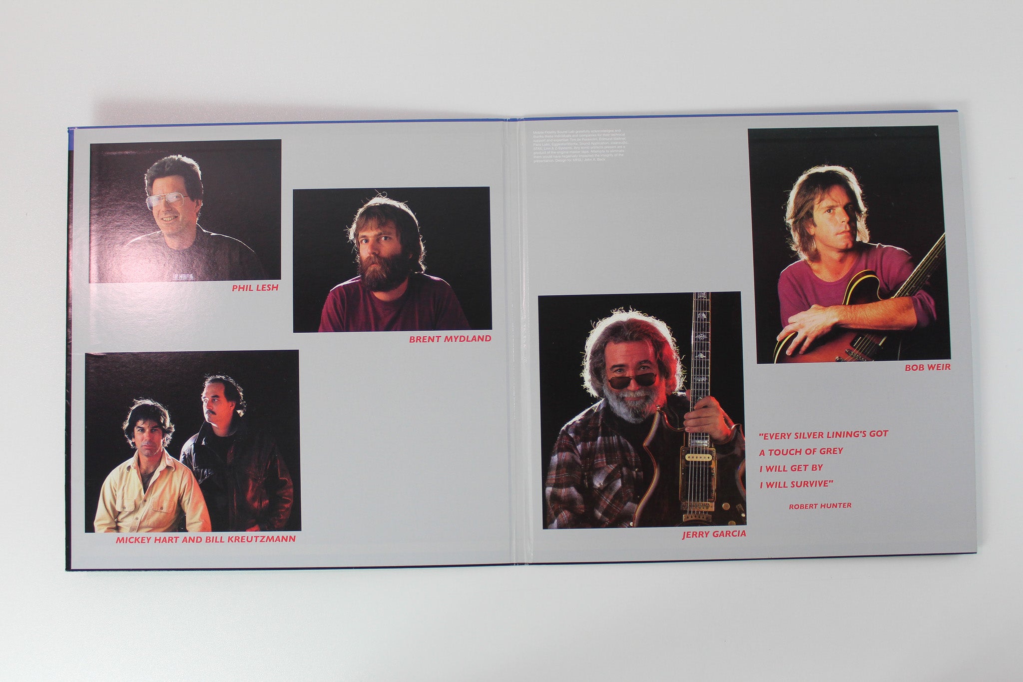 The Grateful Dead - In The Dark on Mobile Fidelity Sound Lab Ltd. Numbered Reissue