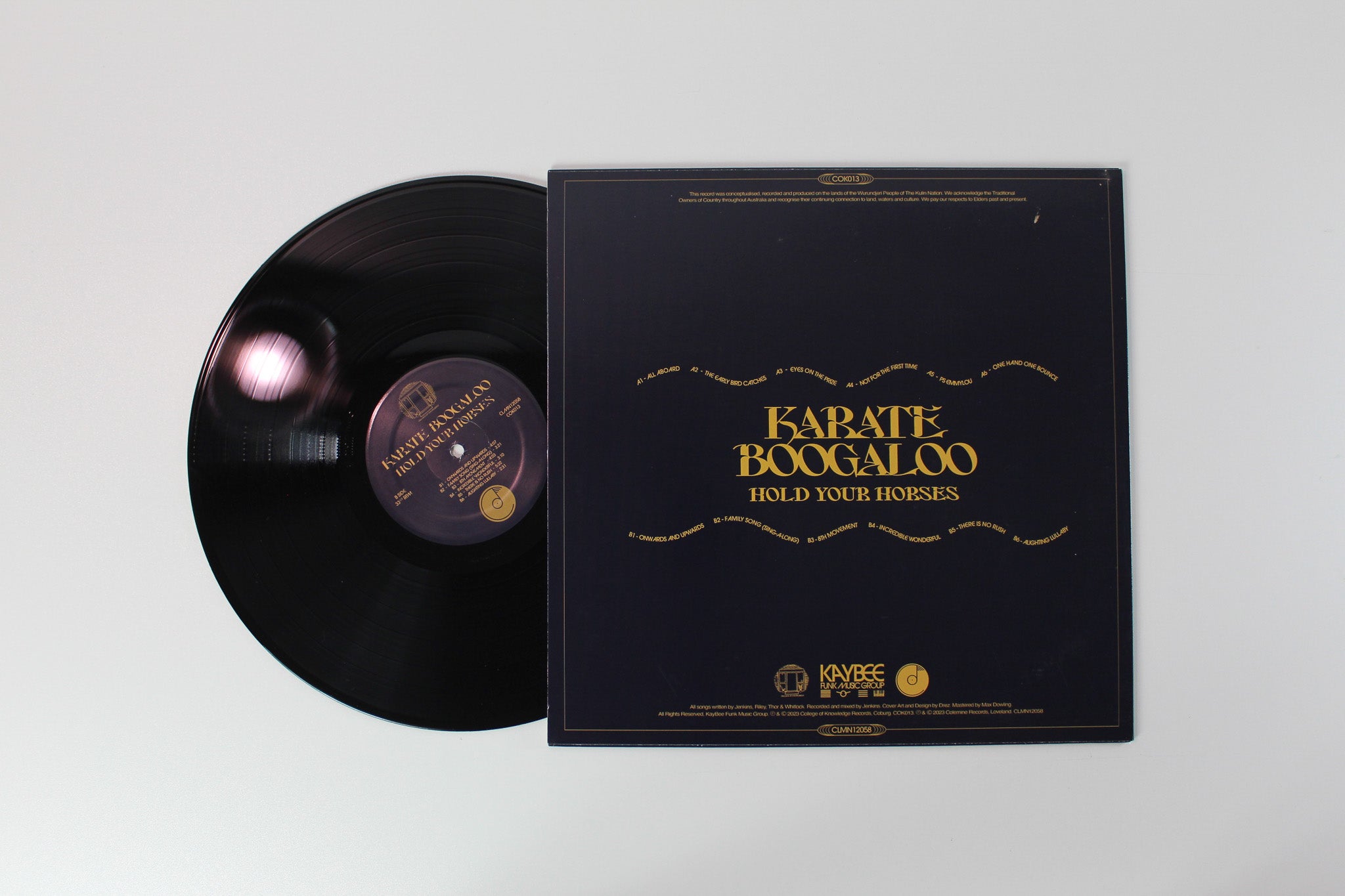 Karate Boogaloo - Hold Your Horses Ltd. on Colemine Records