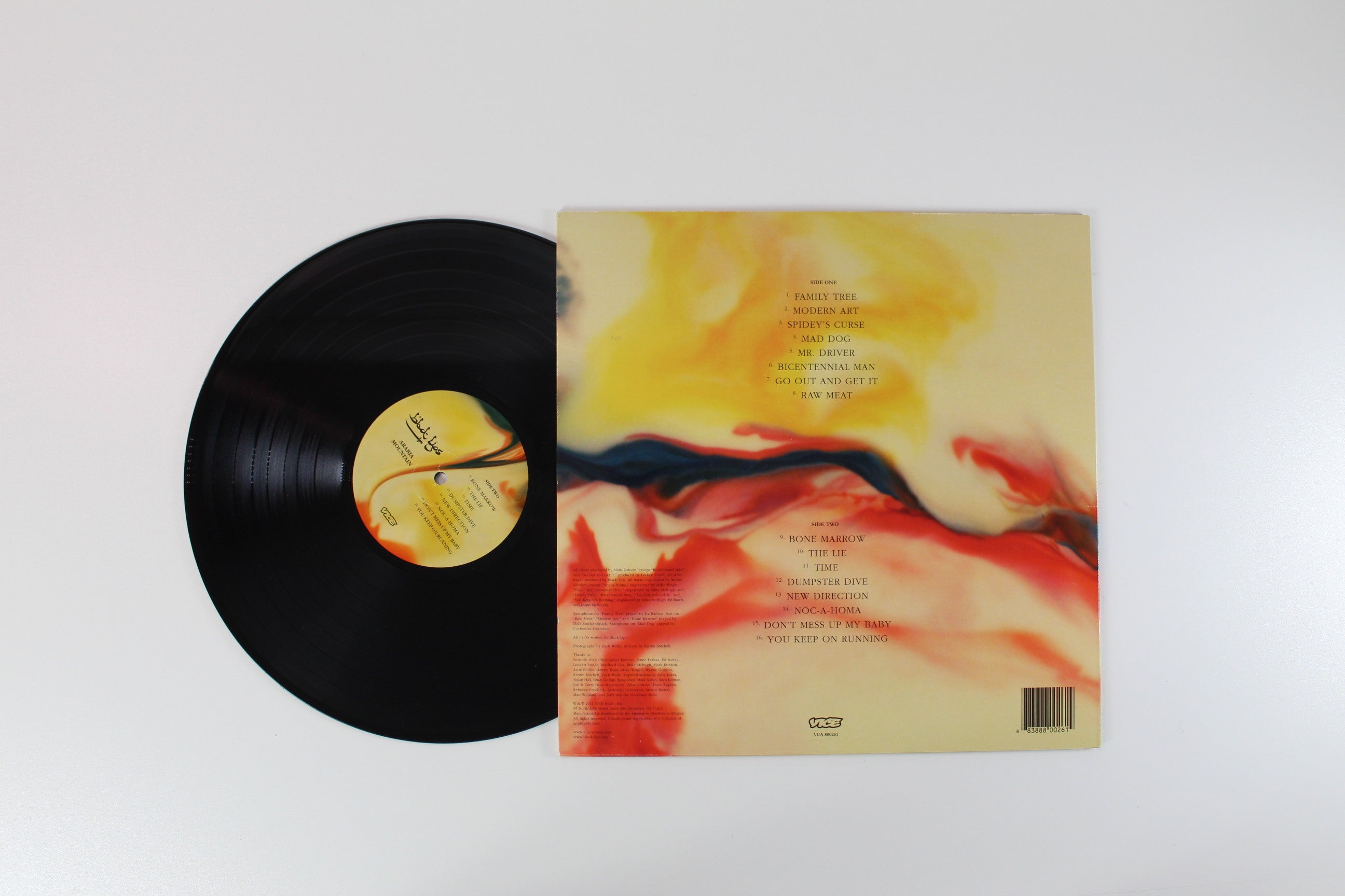 The Black Lips - Arabia Mountain on Vice Records