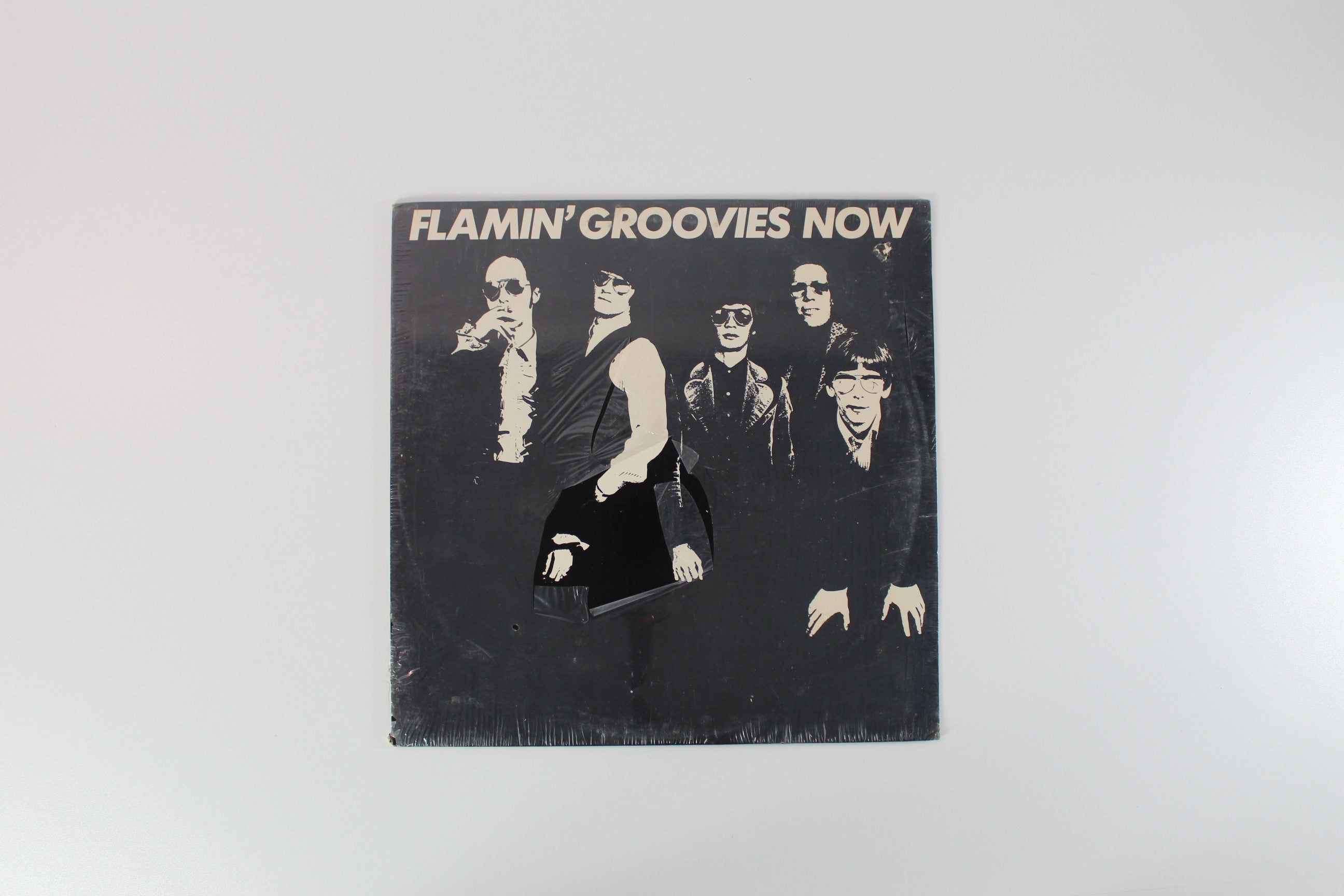 The Flamin' Groovies - Now on Sire Sealed