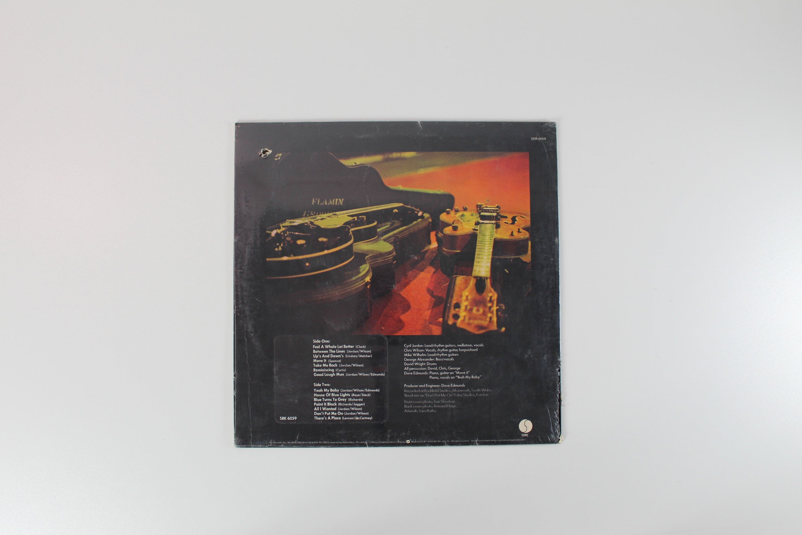 The Flamin' Groovies - Now on Sire Sealed