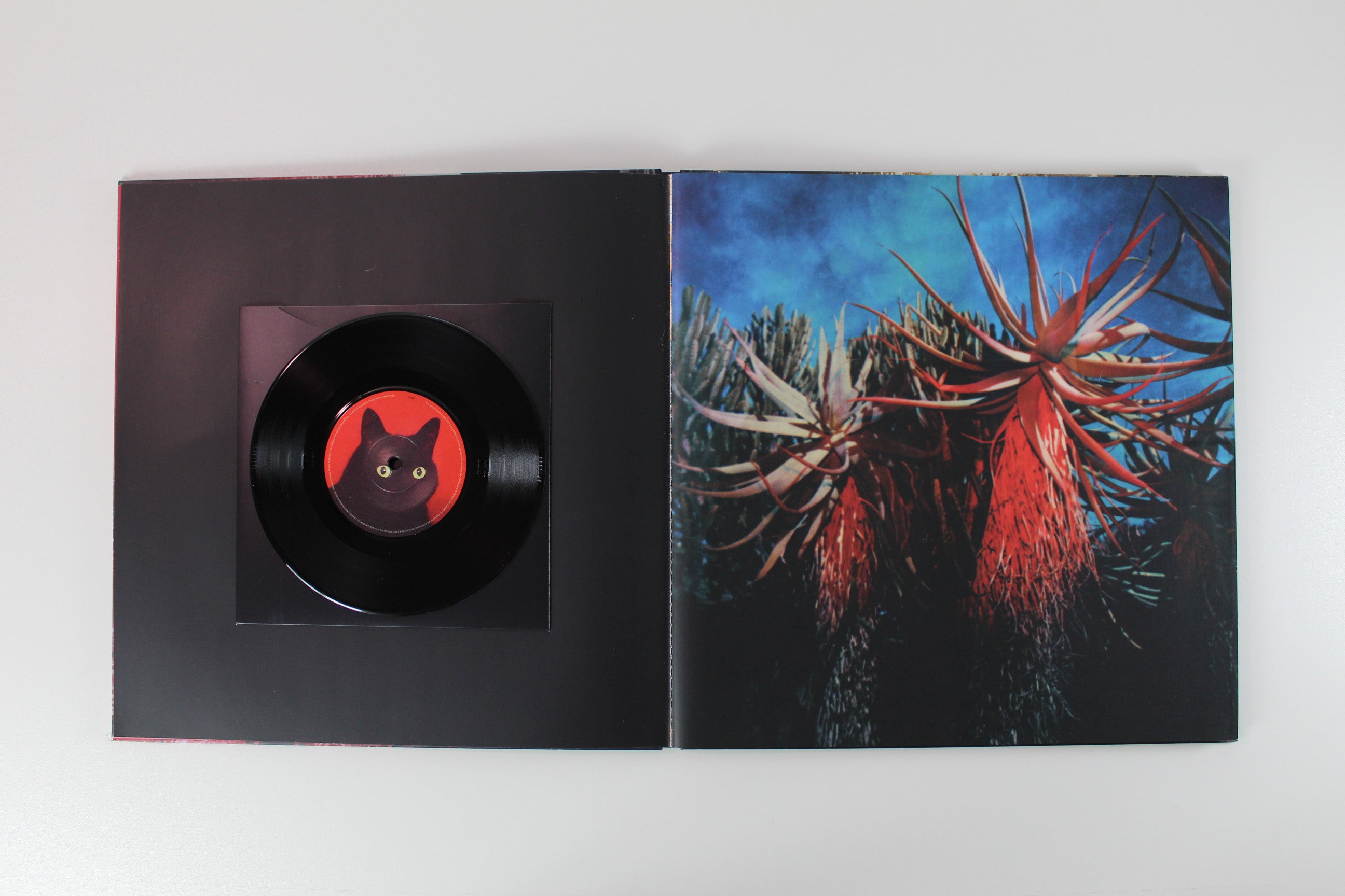 Foals - Everything Not Saved Will Be Lost on Warner Bros. Records Numbered Box Set