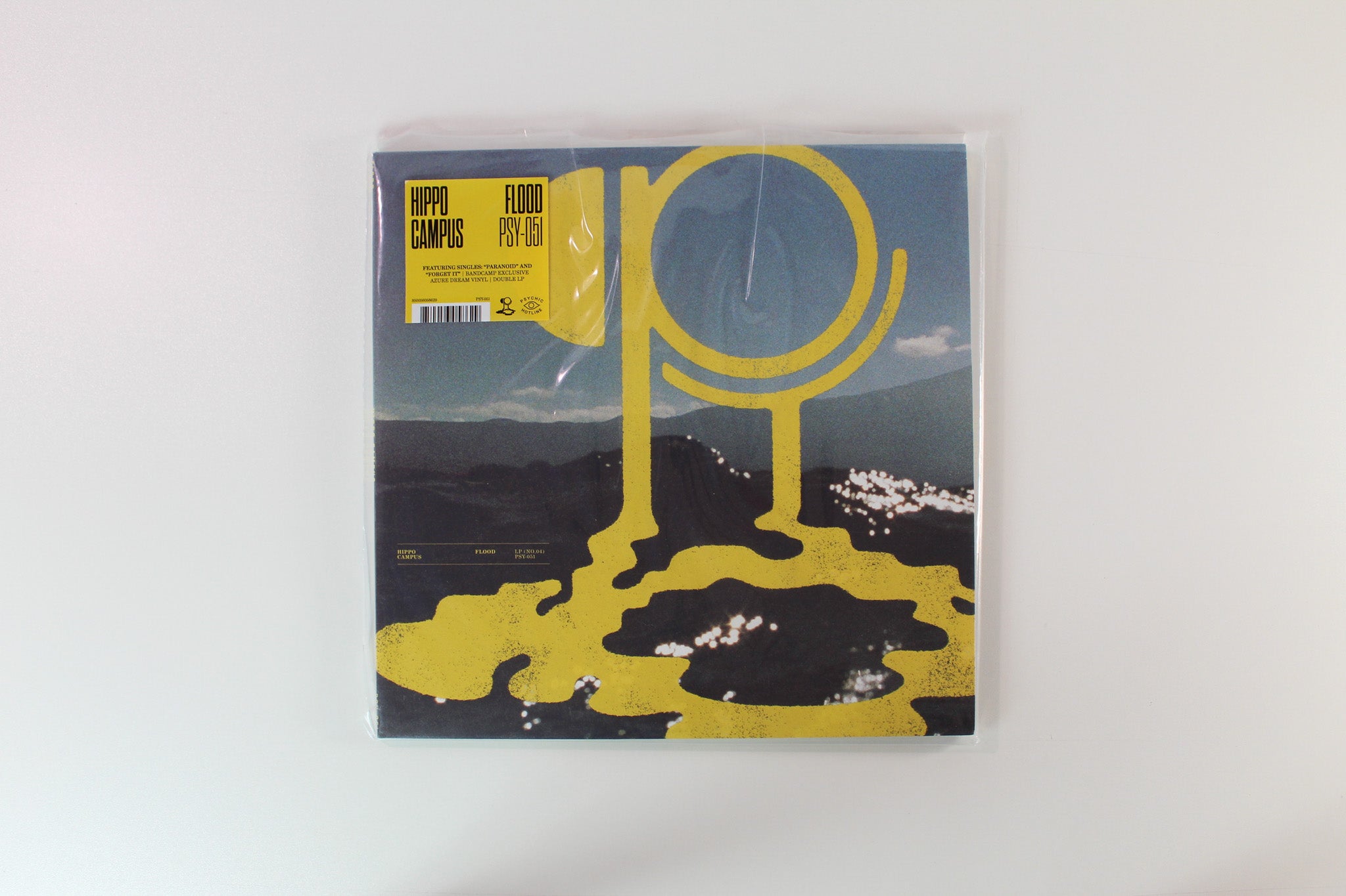 Hippo Campus - Flood on Psychic Hotline Bandcamp Exclusive Azure Dream Vinyl