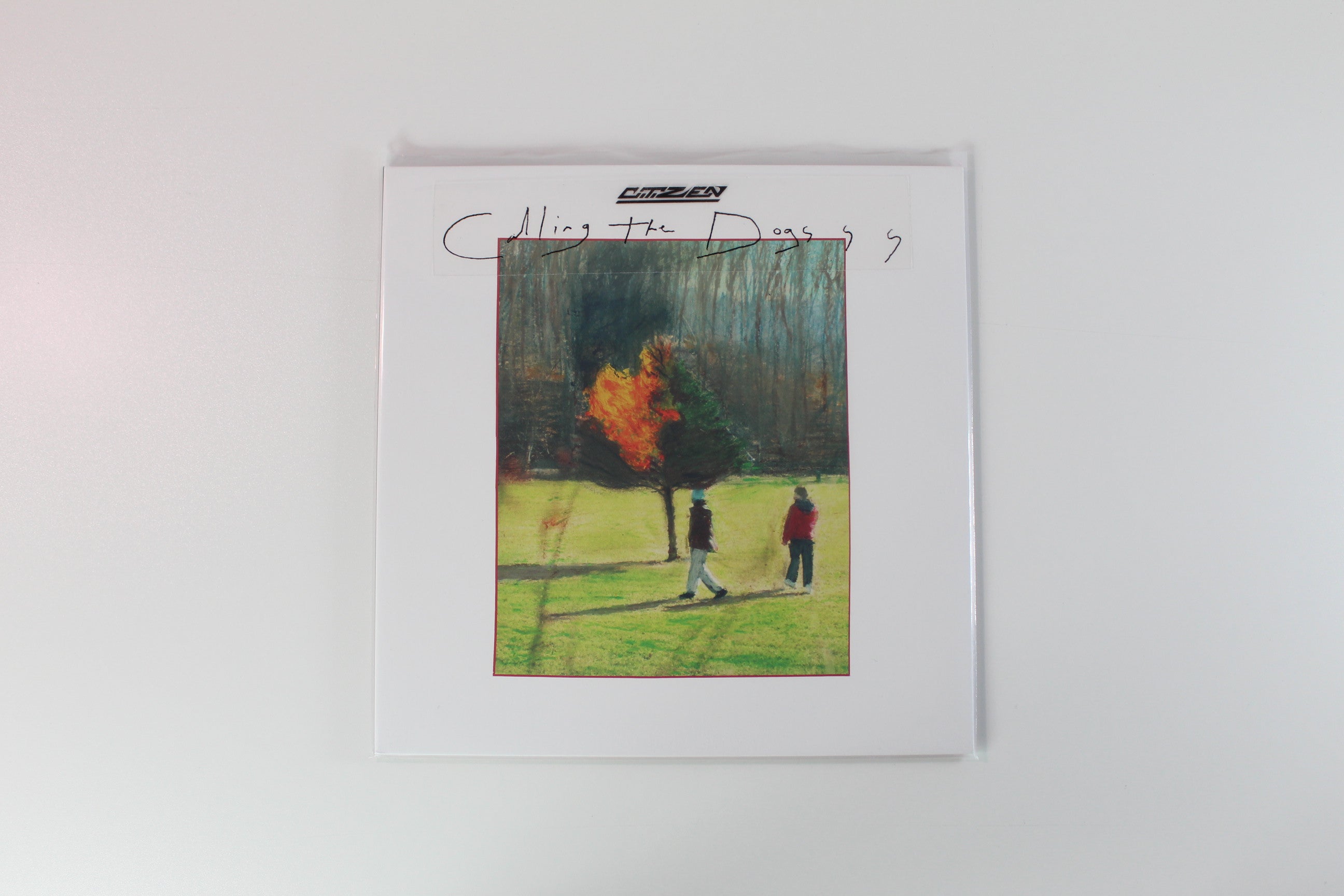 CitiZen - Calling The Dogs on Run For Cover Ltd Clear With Red Teal & Blue Splatter