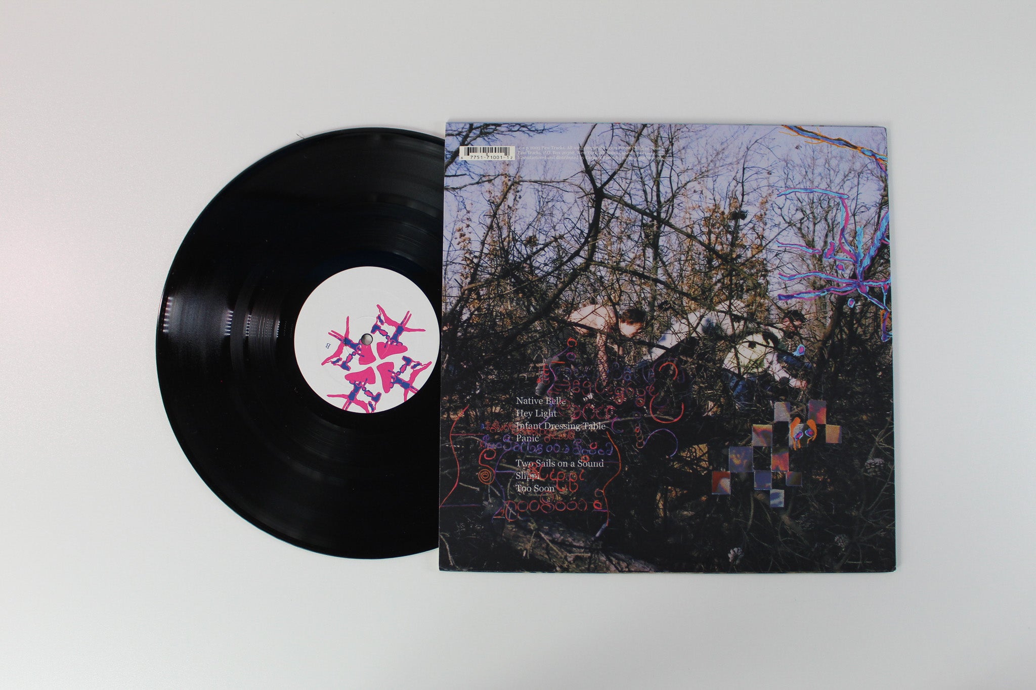 Animal Collective - Here Comes The Indian on Paw Tracks
