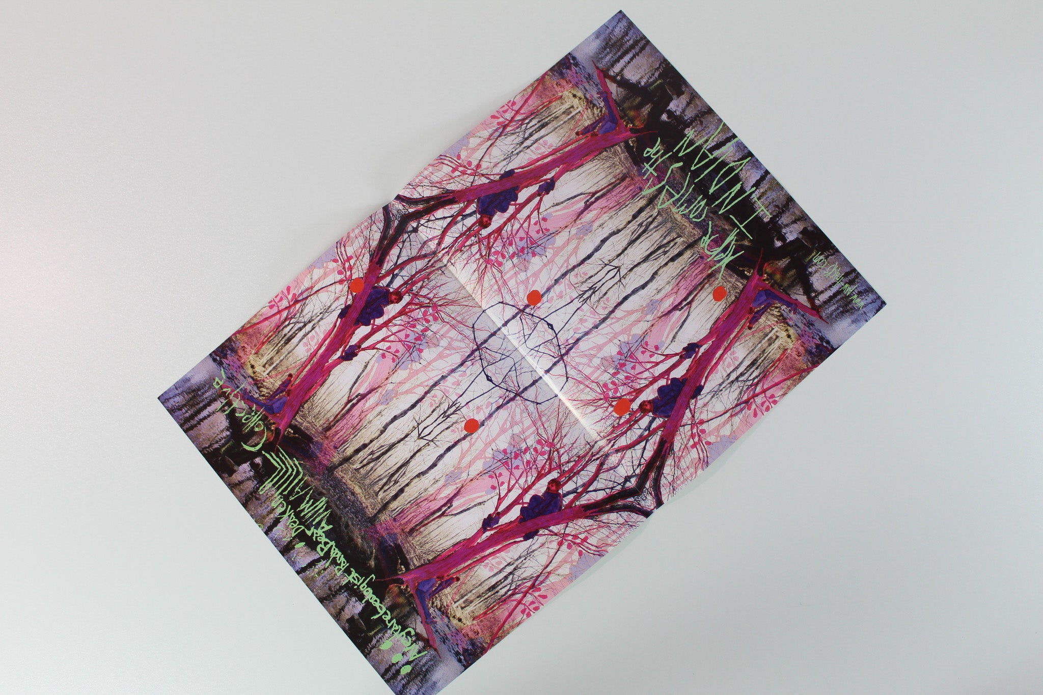 Animal Collective - Here Comes The Indian on Paw Tracks