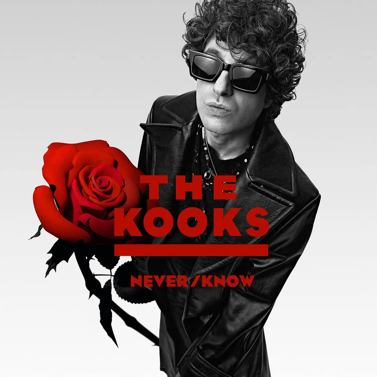 The Kooks - Never / Know
